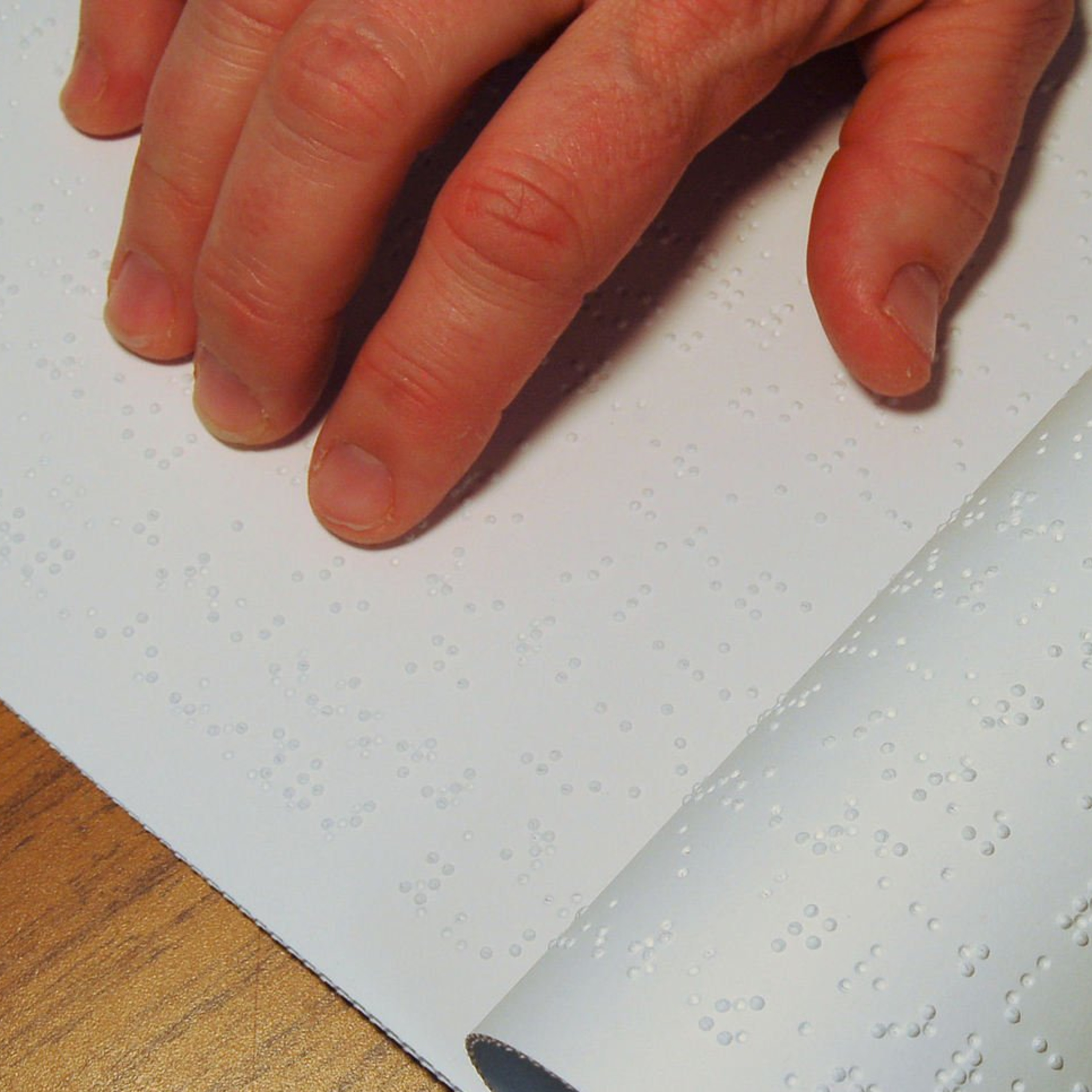 #5: 点字を読む人、訳す人