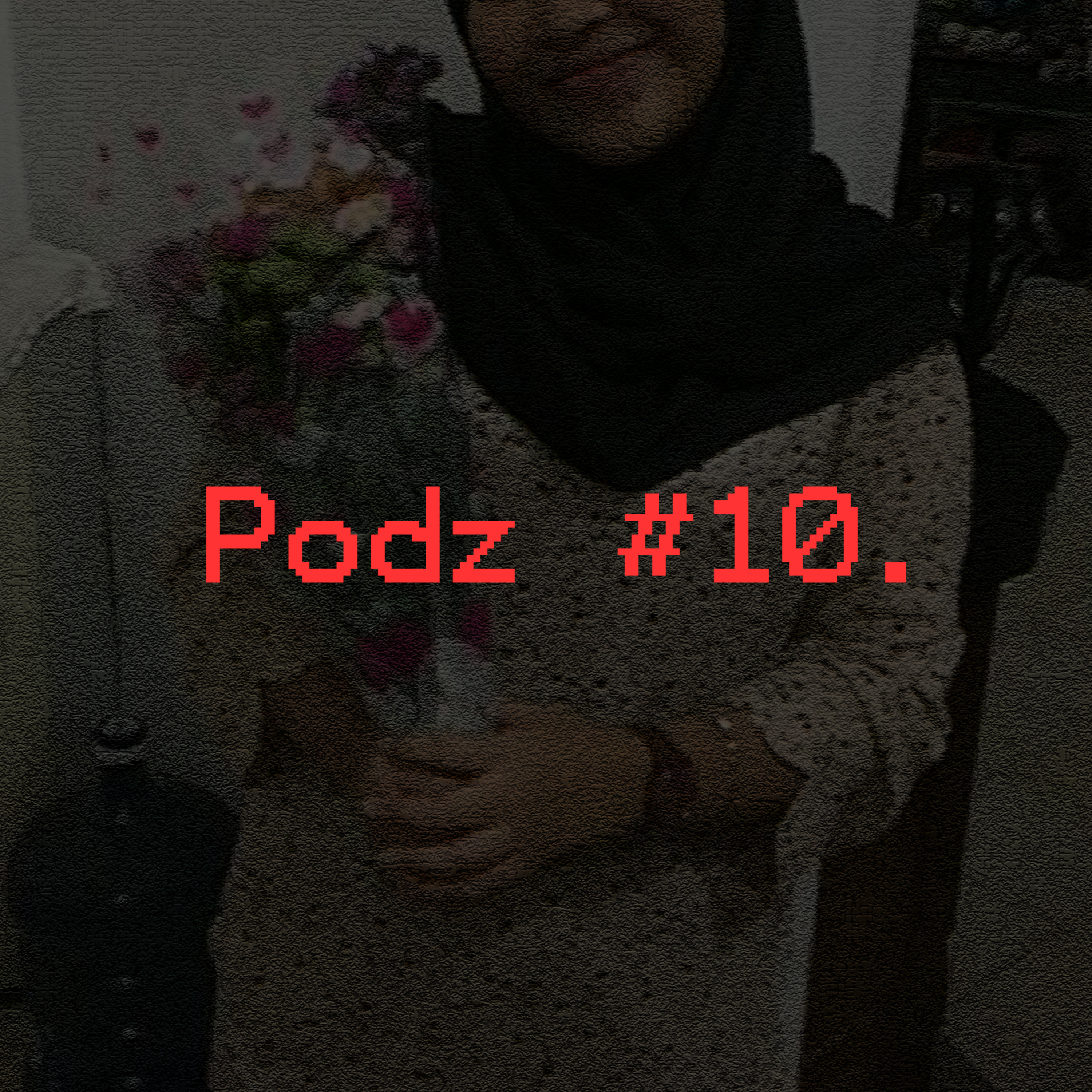 Podzkia #10: Revi episode artwork