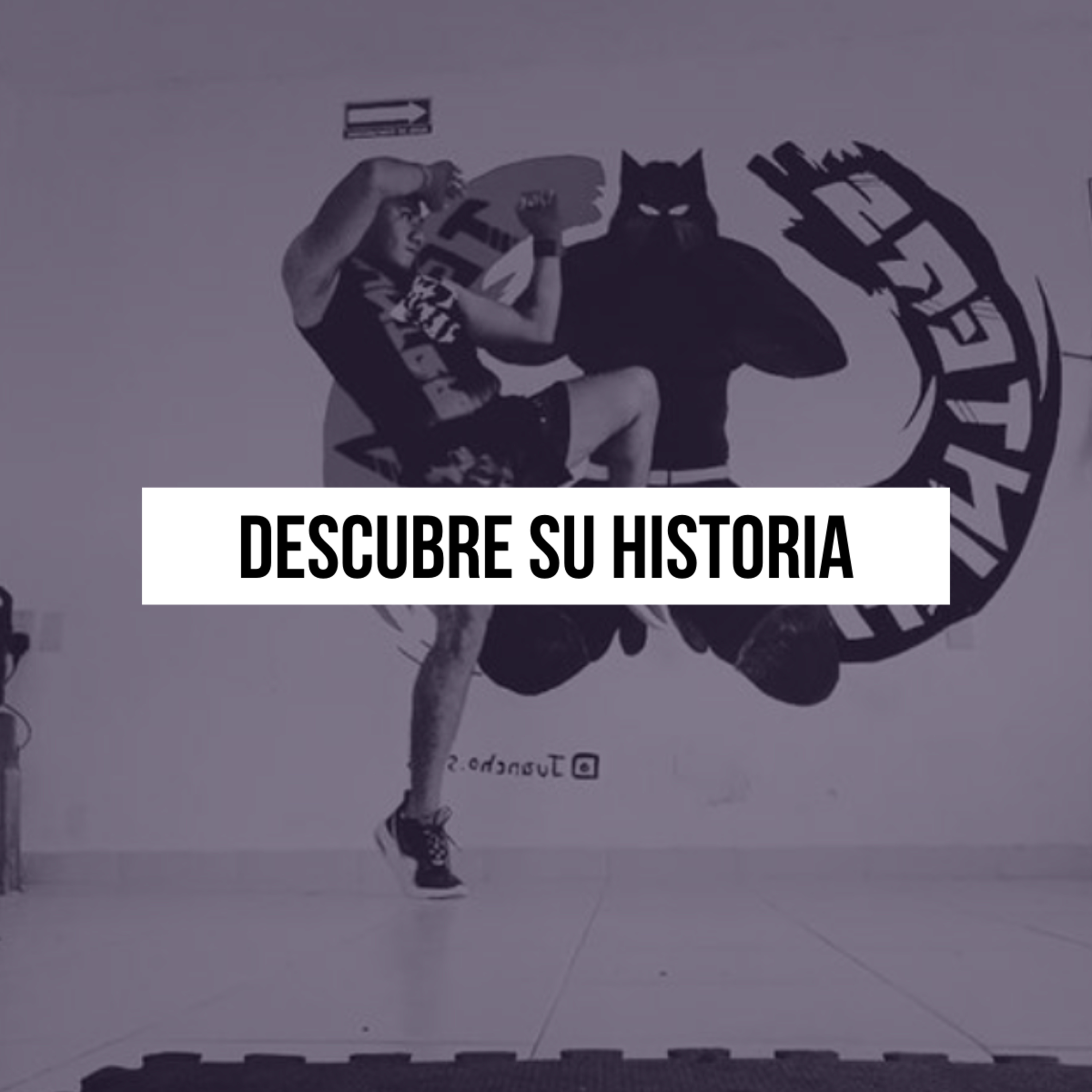 L1mitless Stories