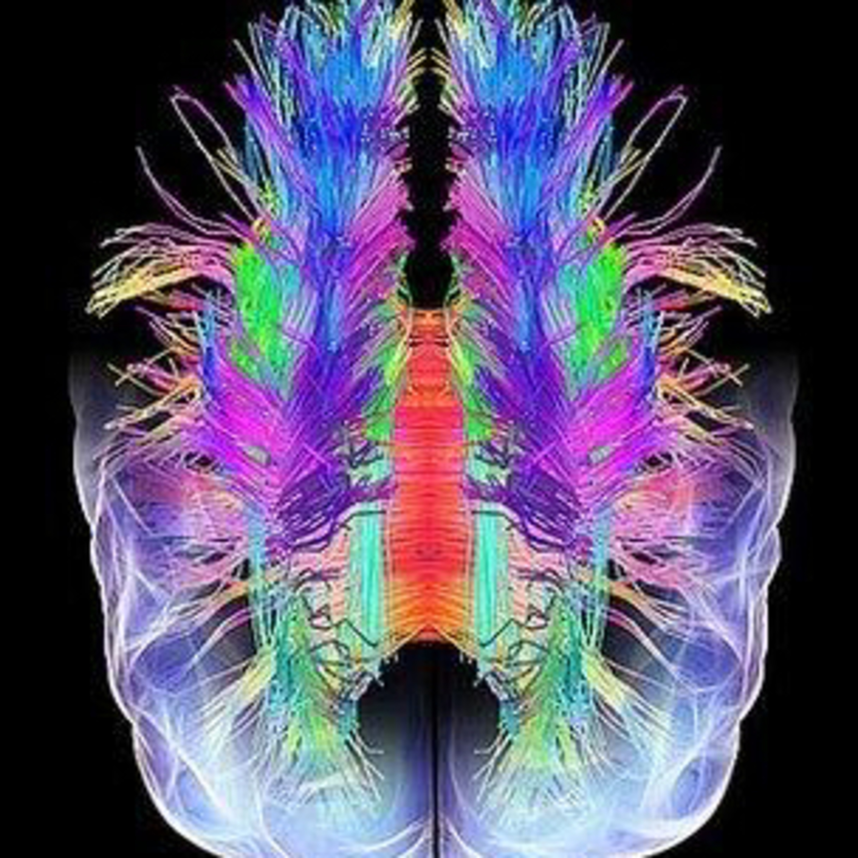 Singularity of Curiosity