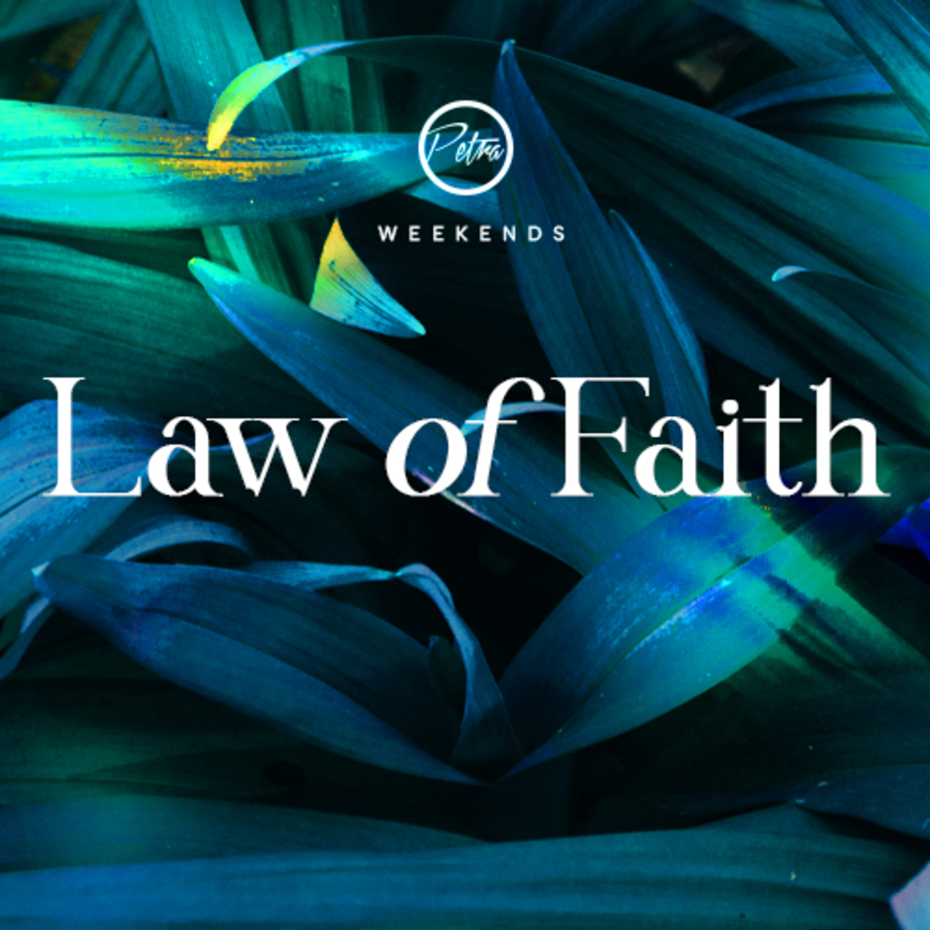 Law of Faith II episode artwork