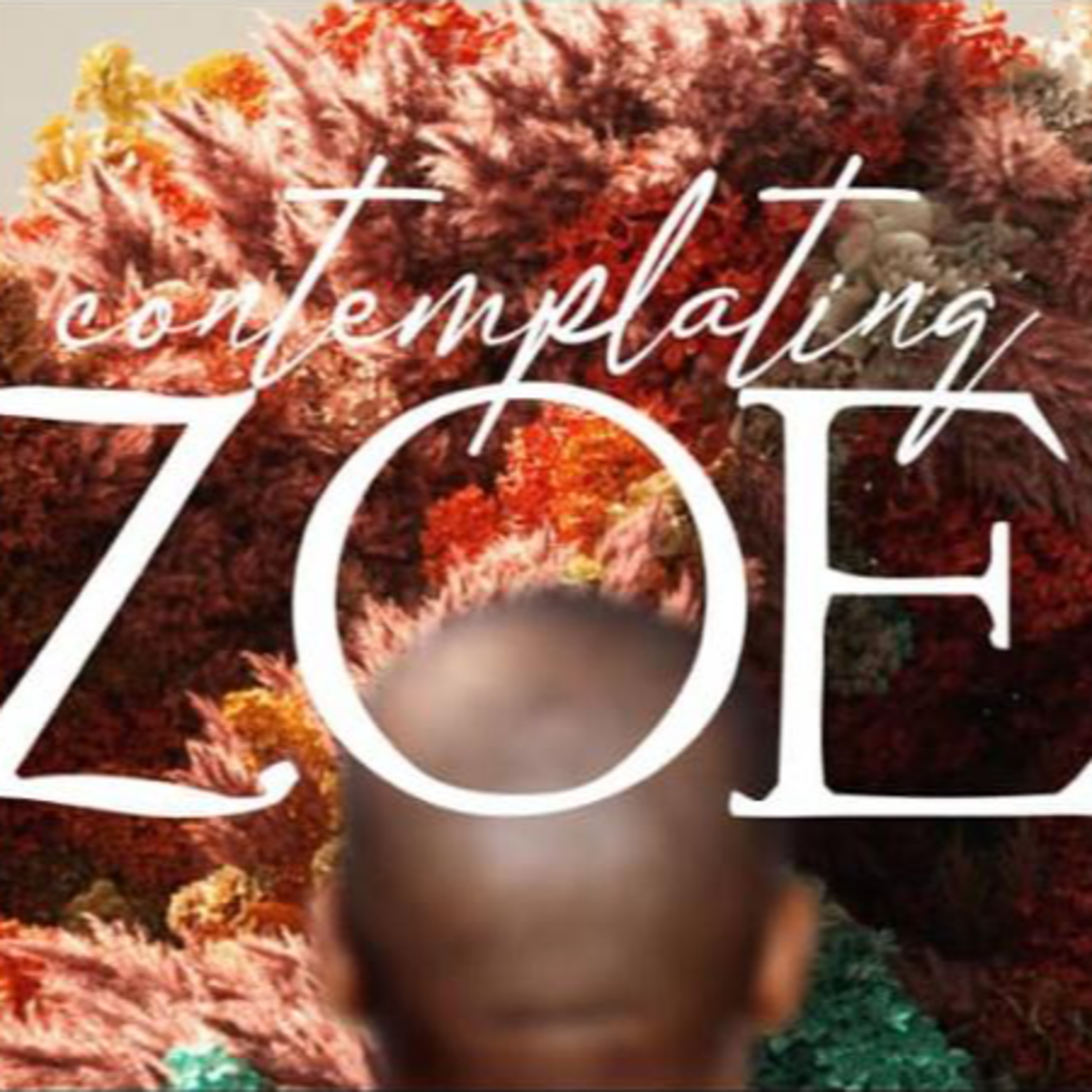 Contemplating Zoe episode artwork