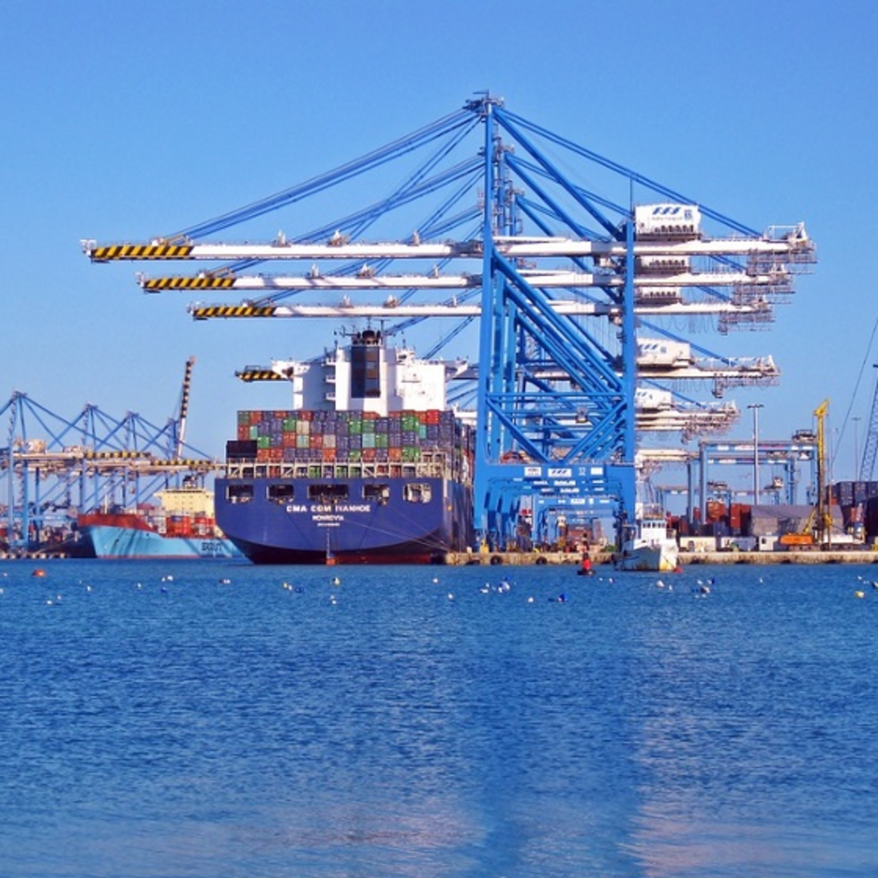 Transportation Insights