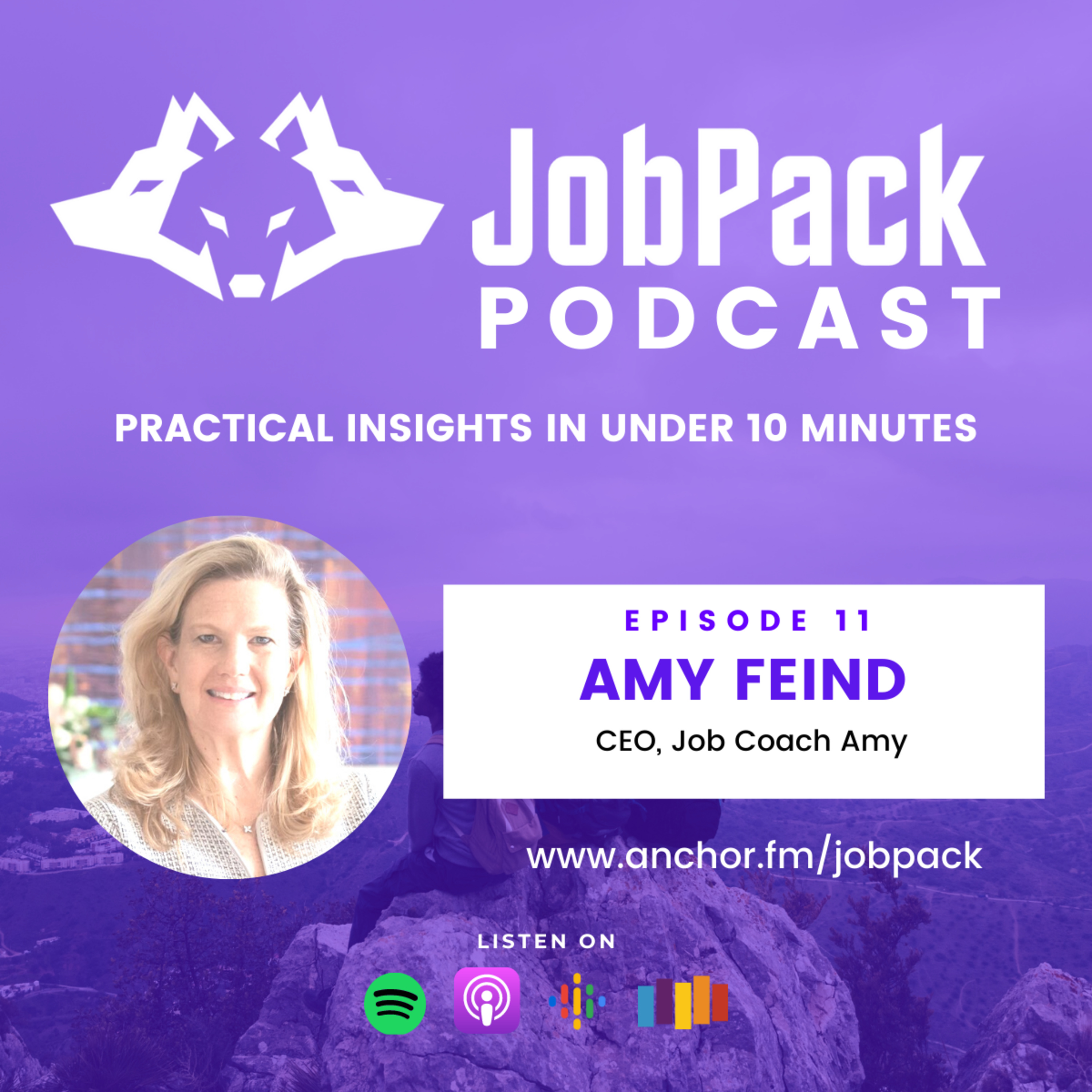 JobPack - Job Tips in Less Than 10 Minutes