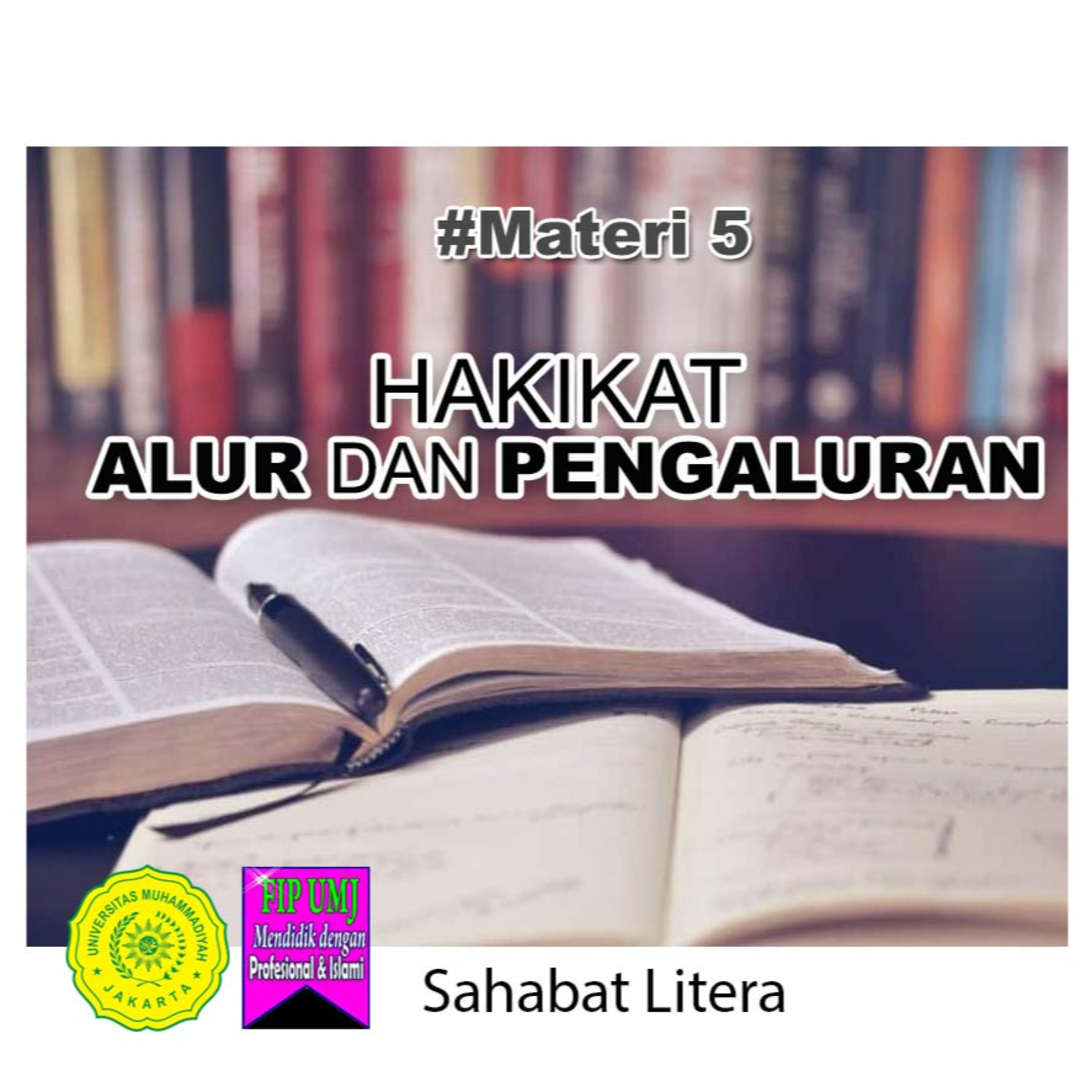 Litera Disa