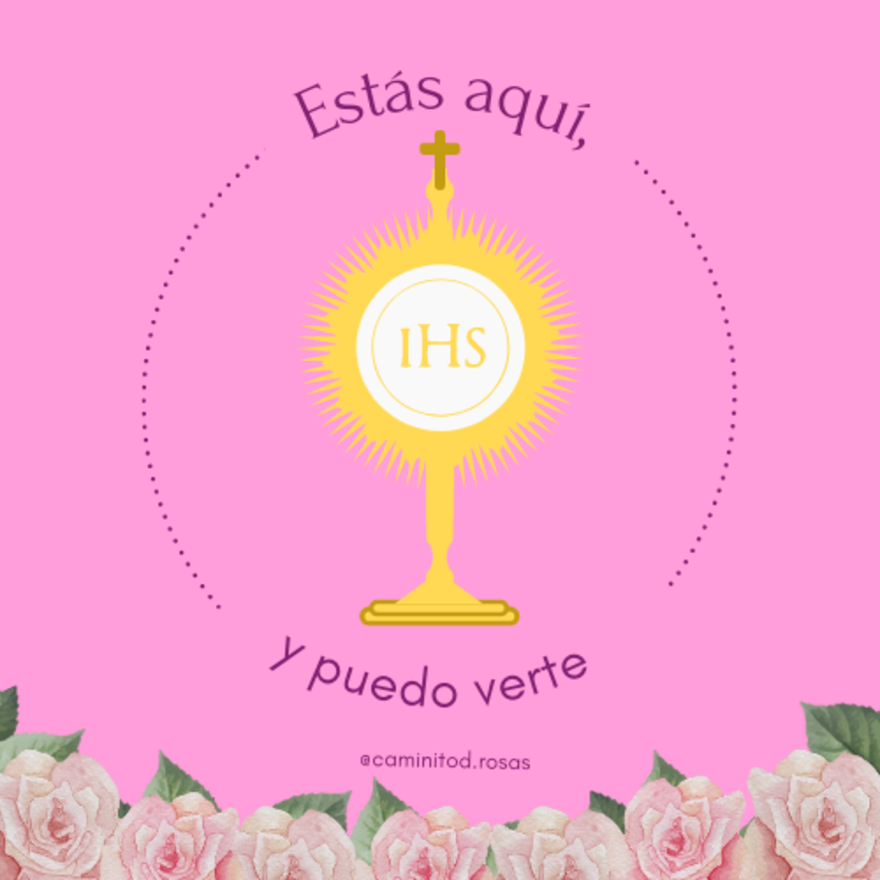 T1. E.20 Estás aquí y puedo verte. episode artwork