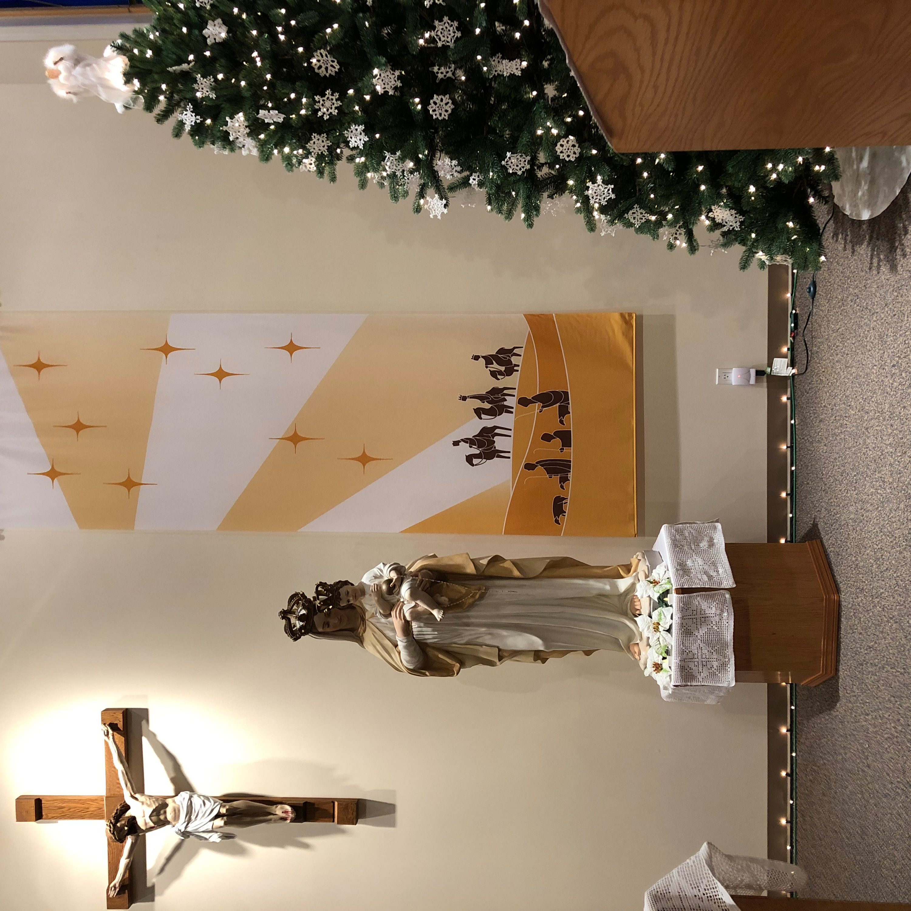 Homily Jan 1 - Give birth to peace