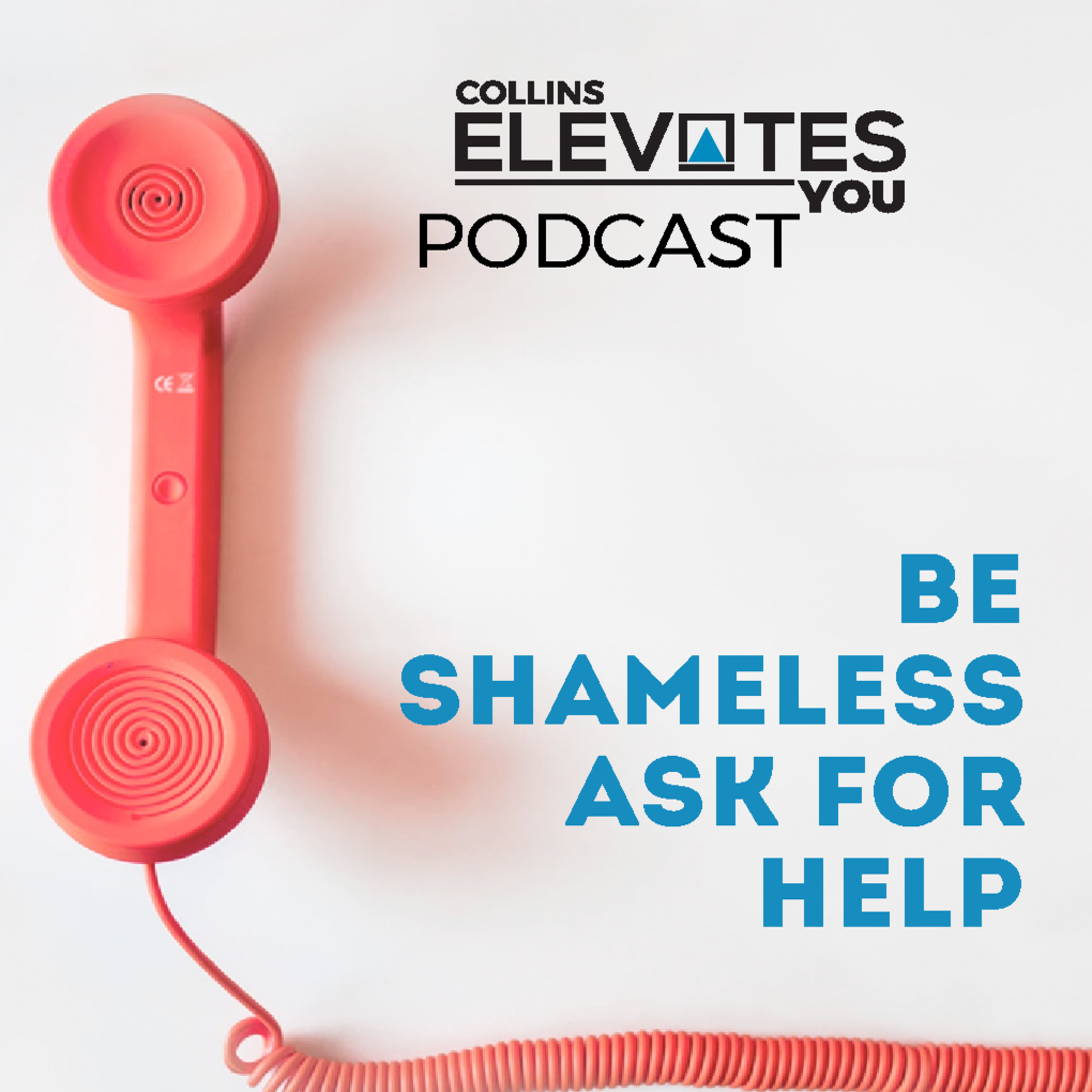 BE SHAMELESS ASK FOR HELP