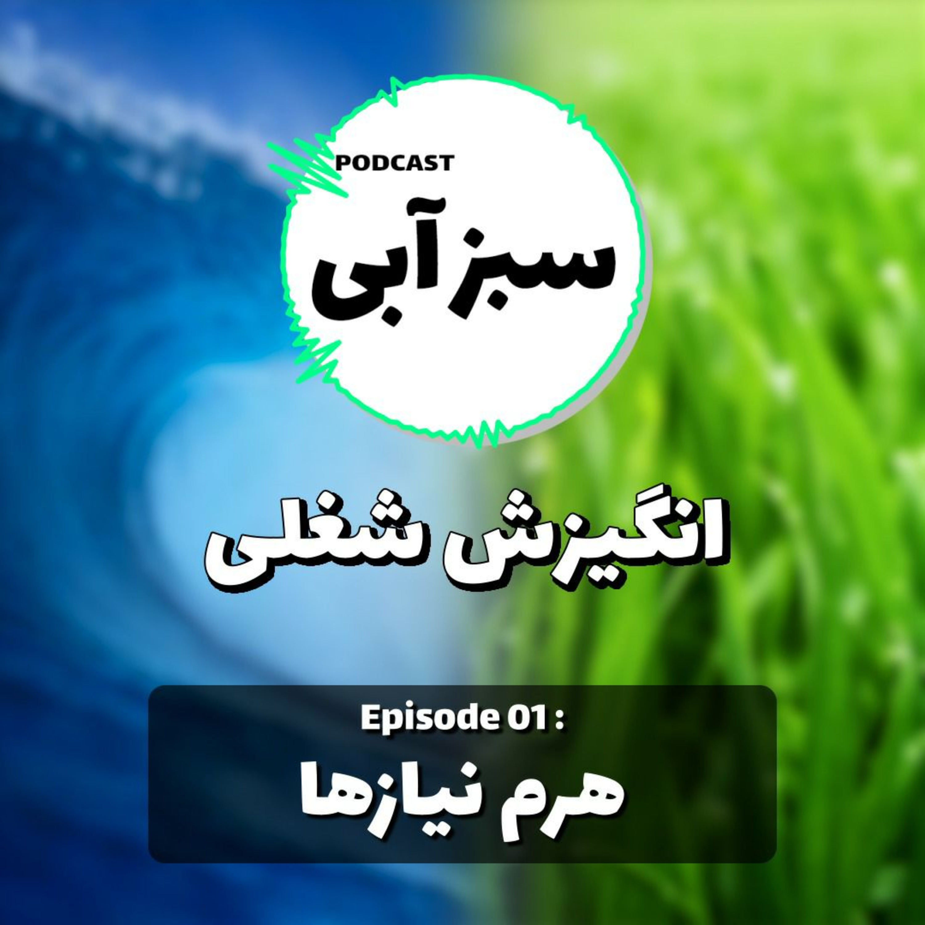 کاور هرم نیاز ها