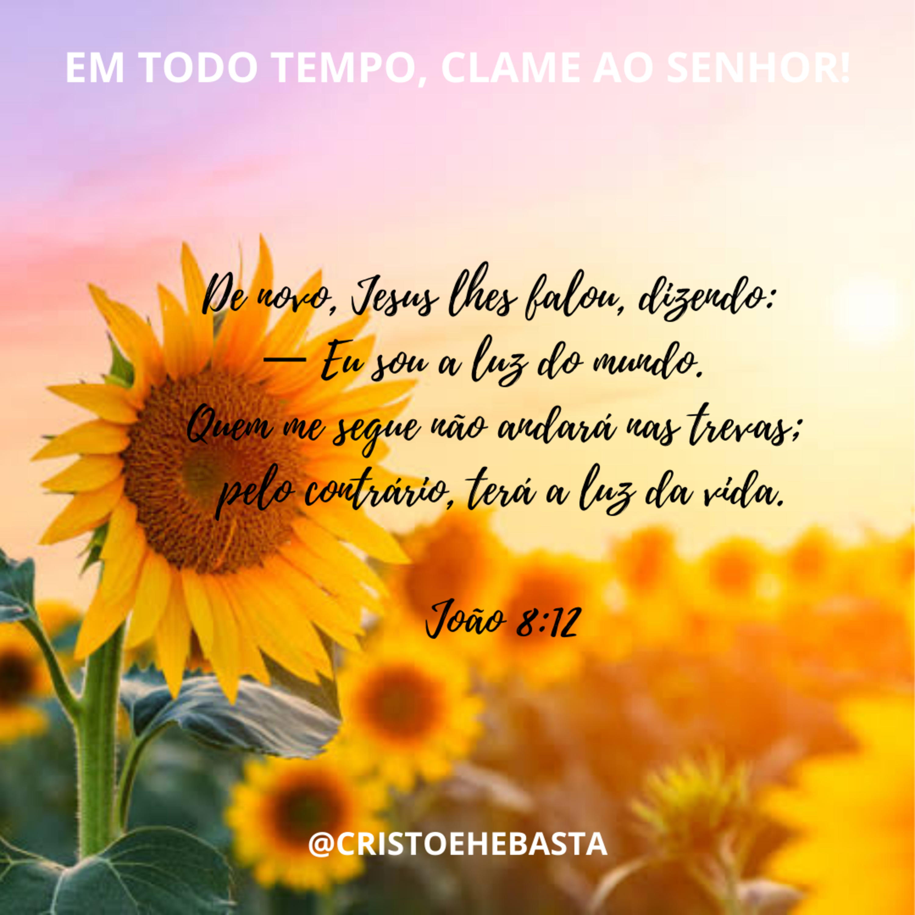 CRISTO É, E BASTA!