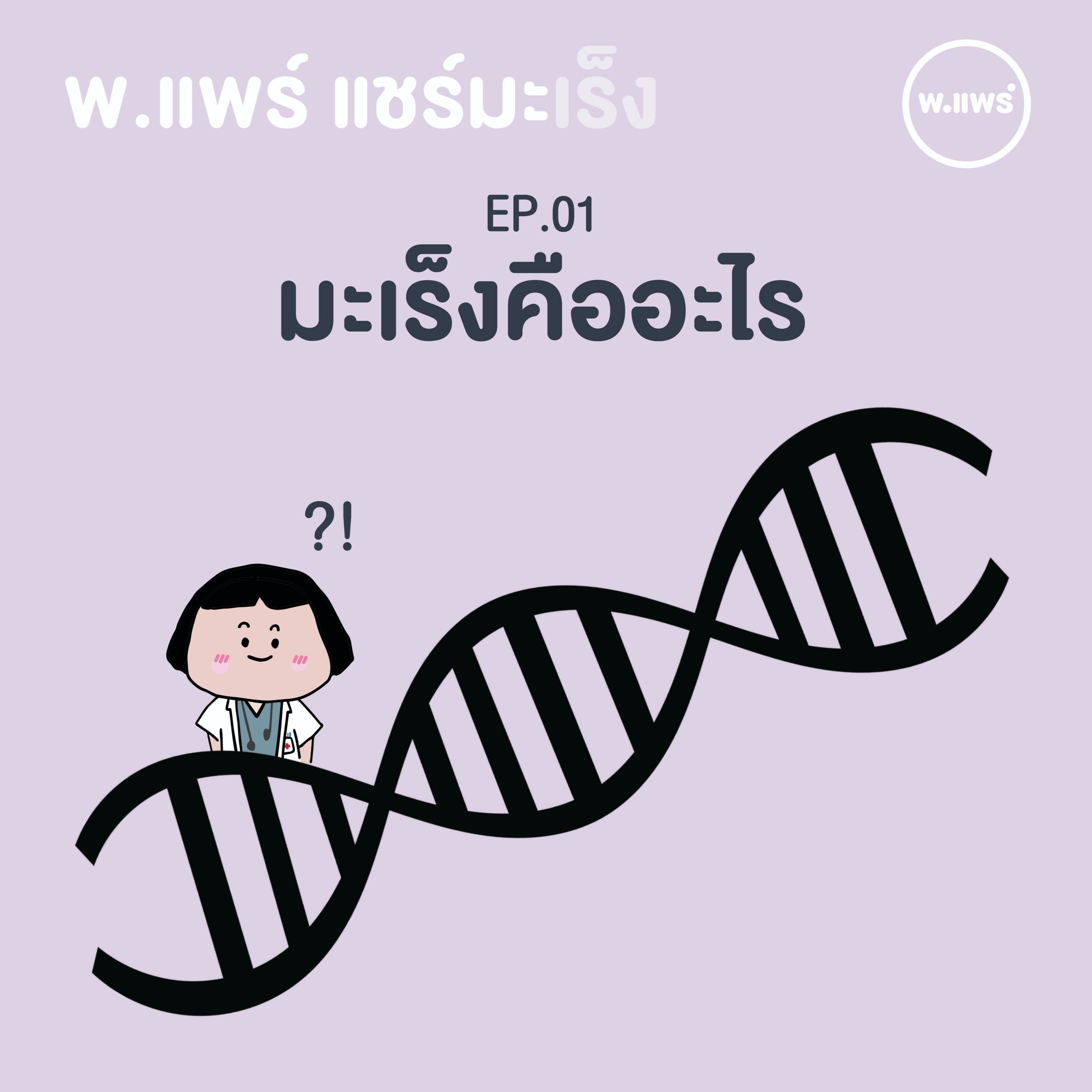 Porpear พ.แพร์ แคร์เรื่องหญิง