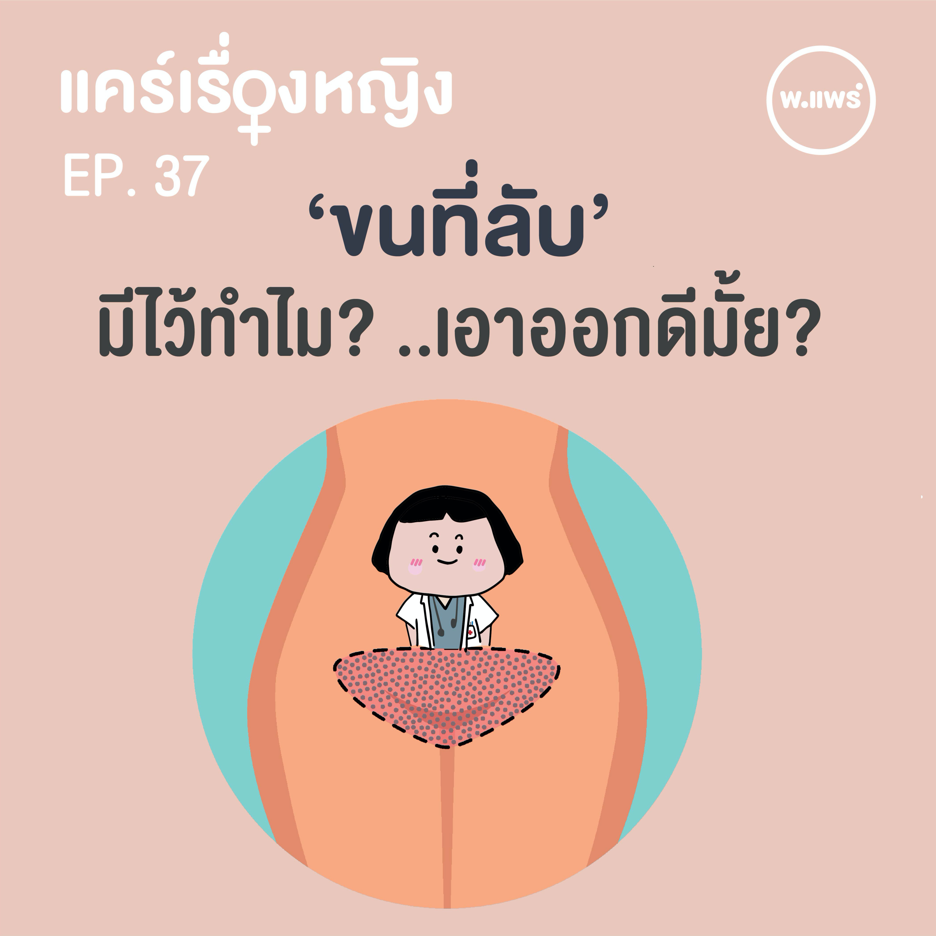 Porpear พ.แพร์ แคร์เรื่องหญิง