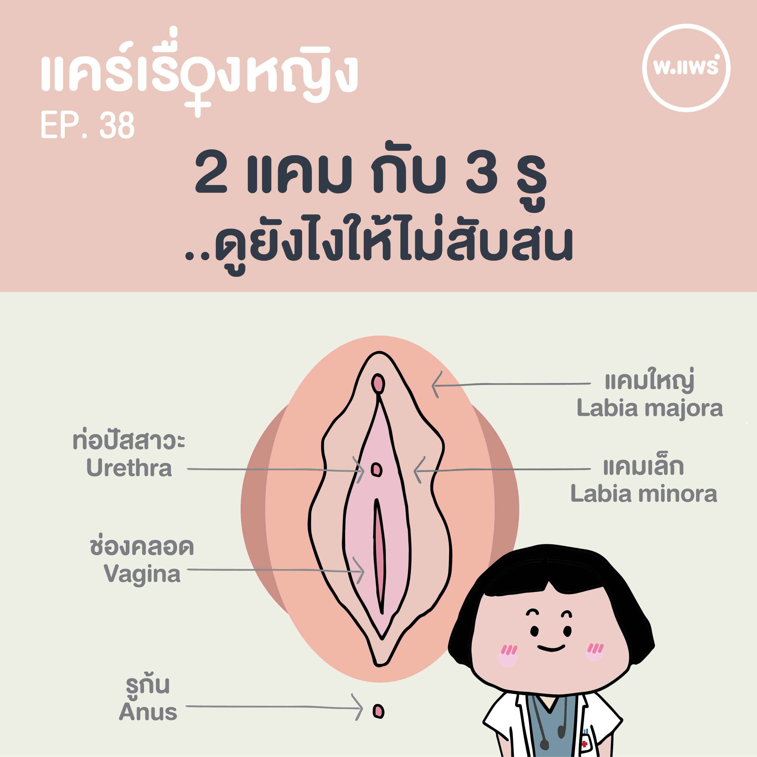 Porpear พ.แพร์ แคร์เรื่องหญิง