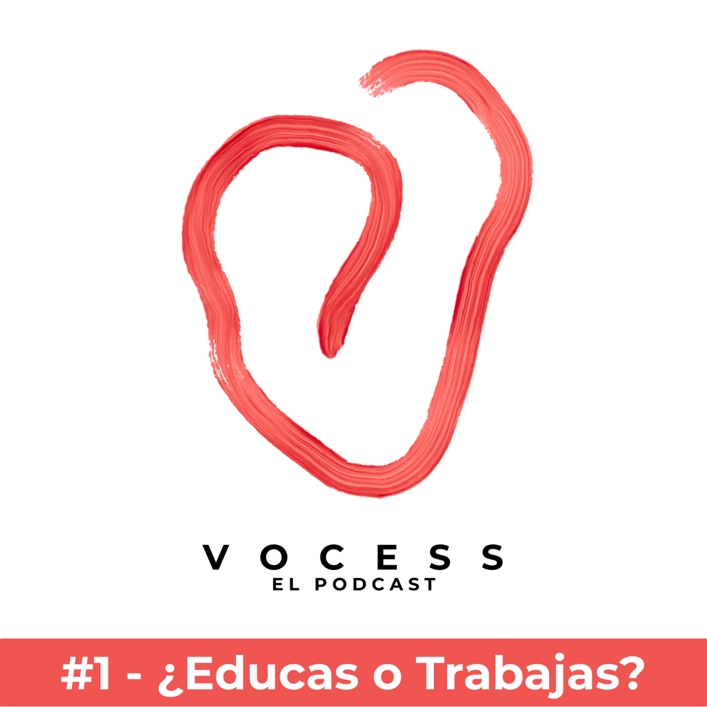 VocesS - Voces sociales y solidarias