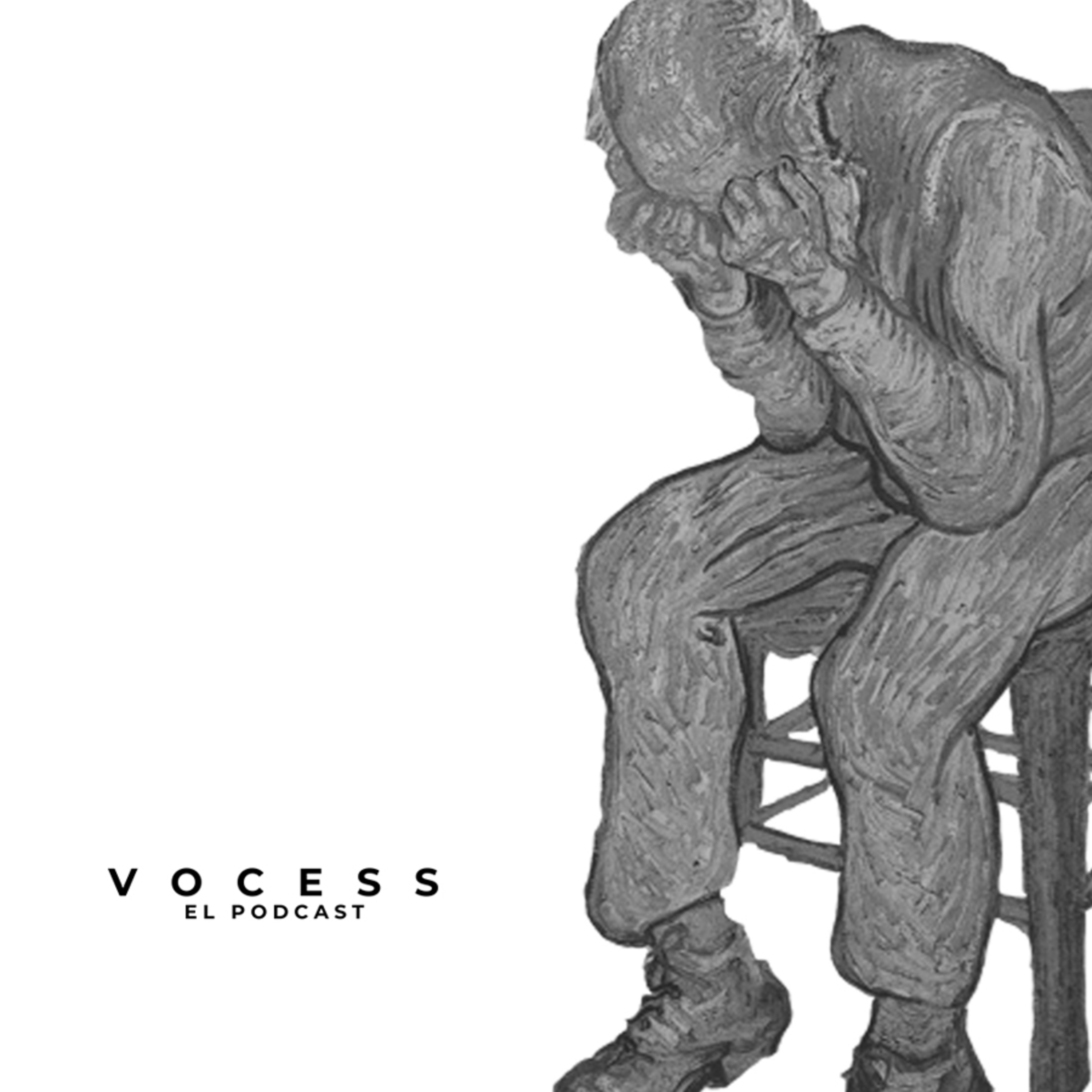 VocesS - Voces sociales y solidarias