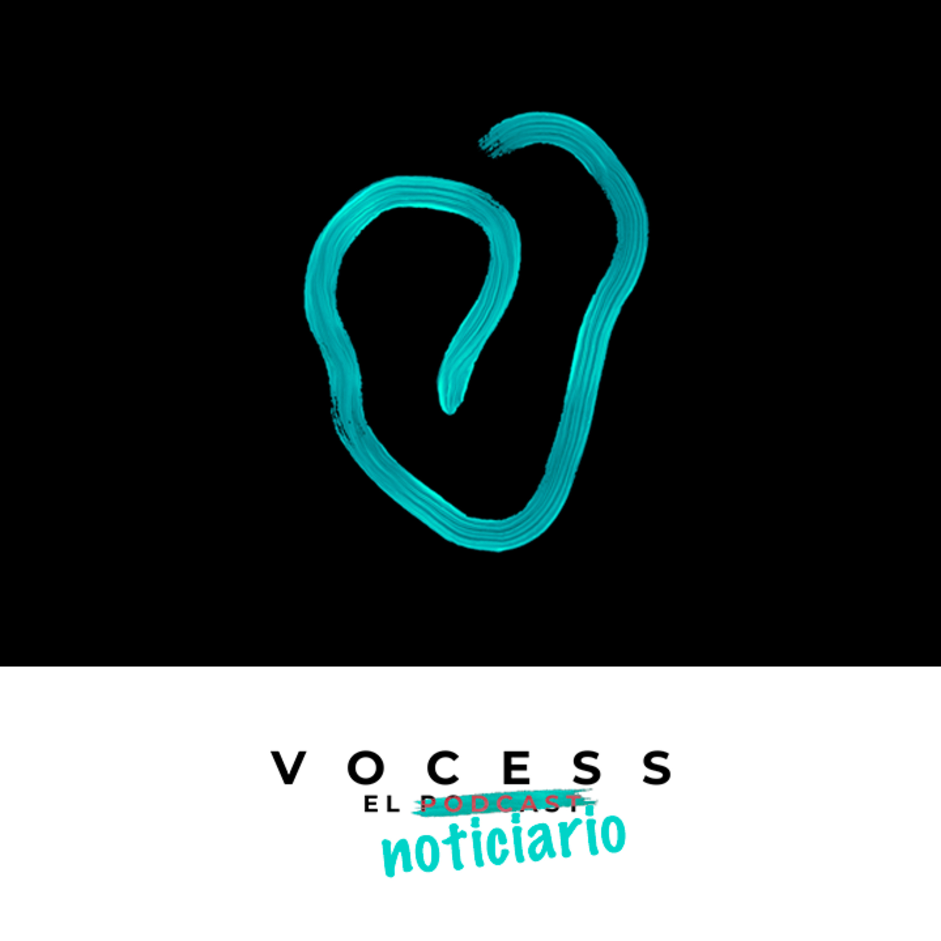 VocesS - Voces sociales y solidarias