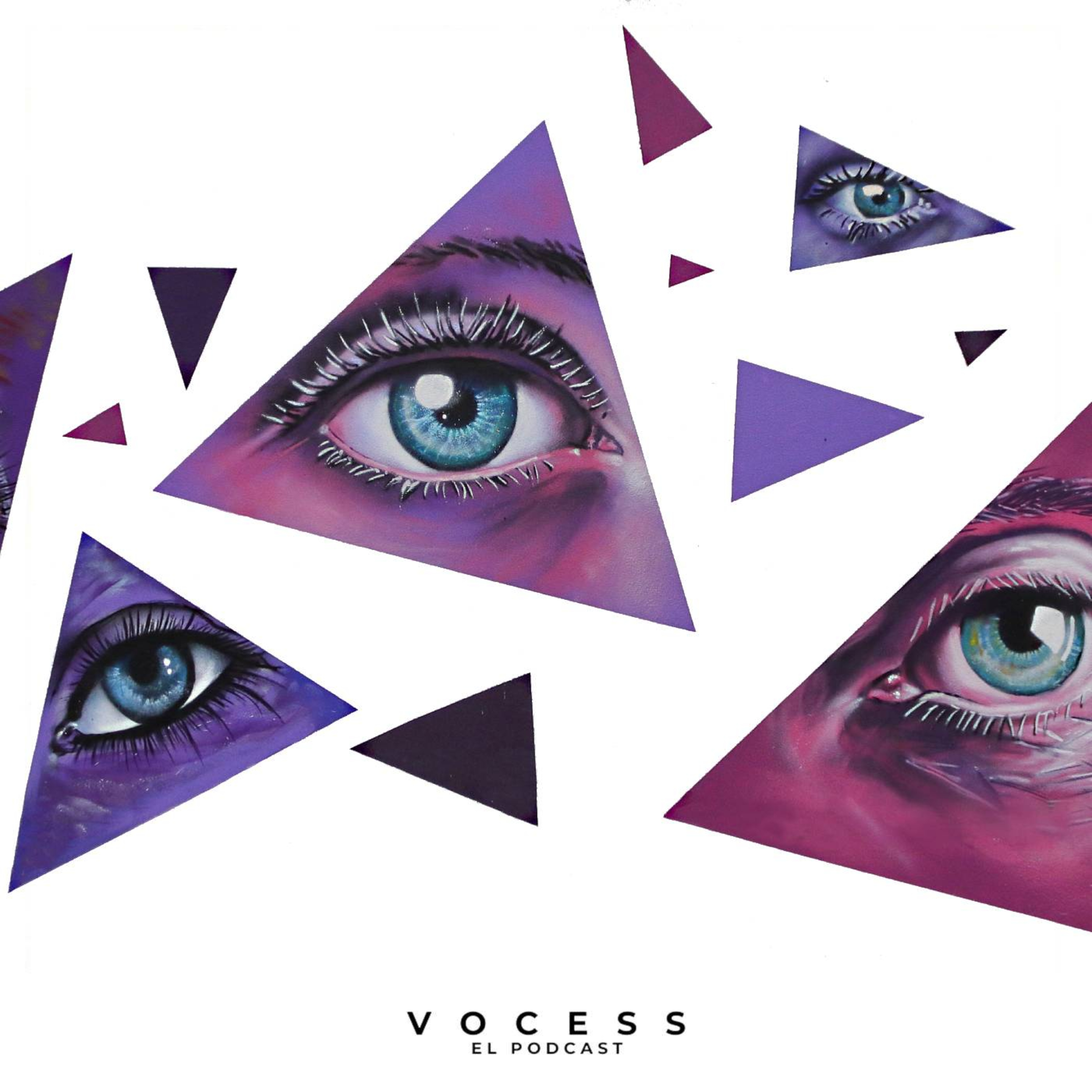VocesS - Voces sociales y solidarias