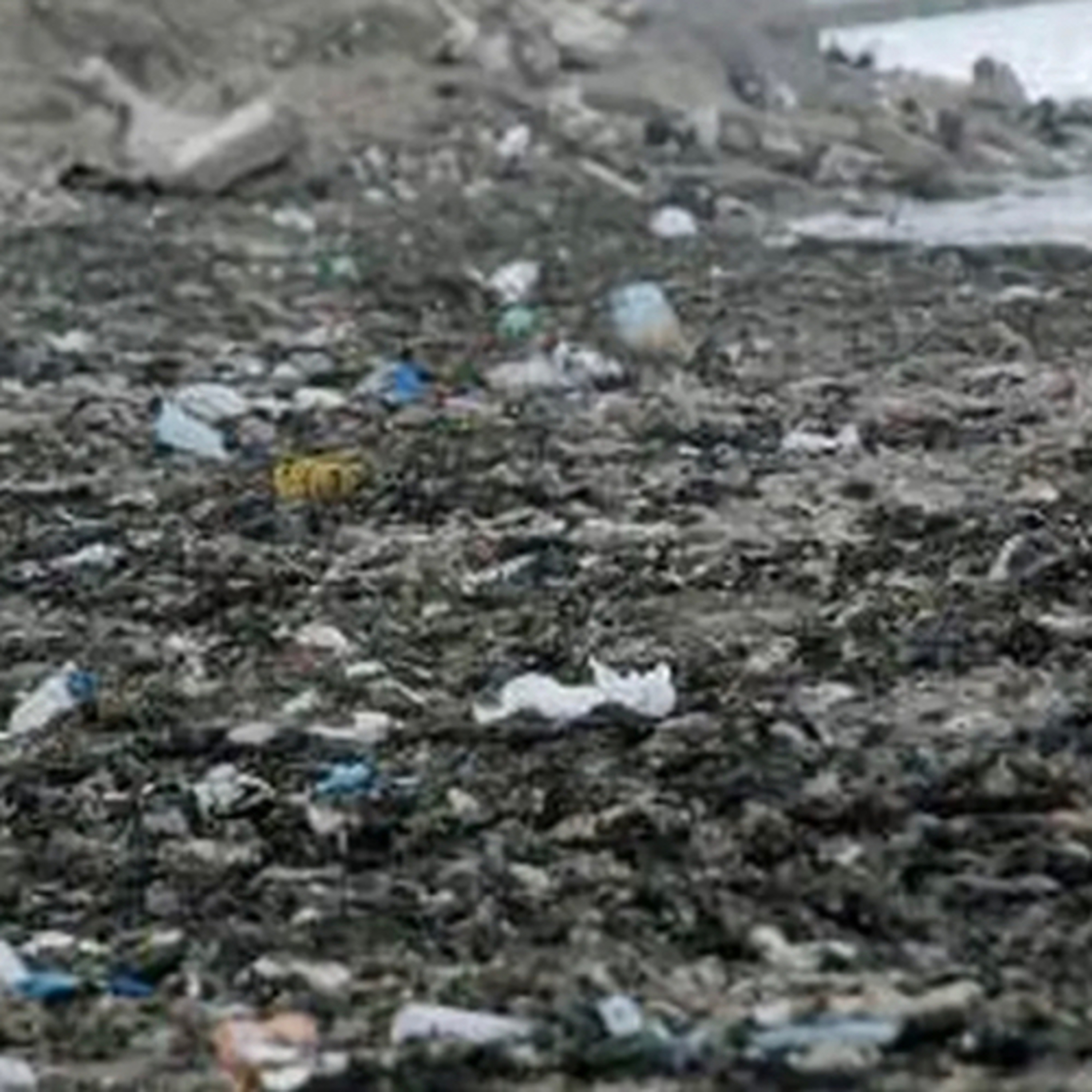 Contaminación en las playas de KM3, Comodoro Rivadavia