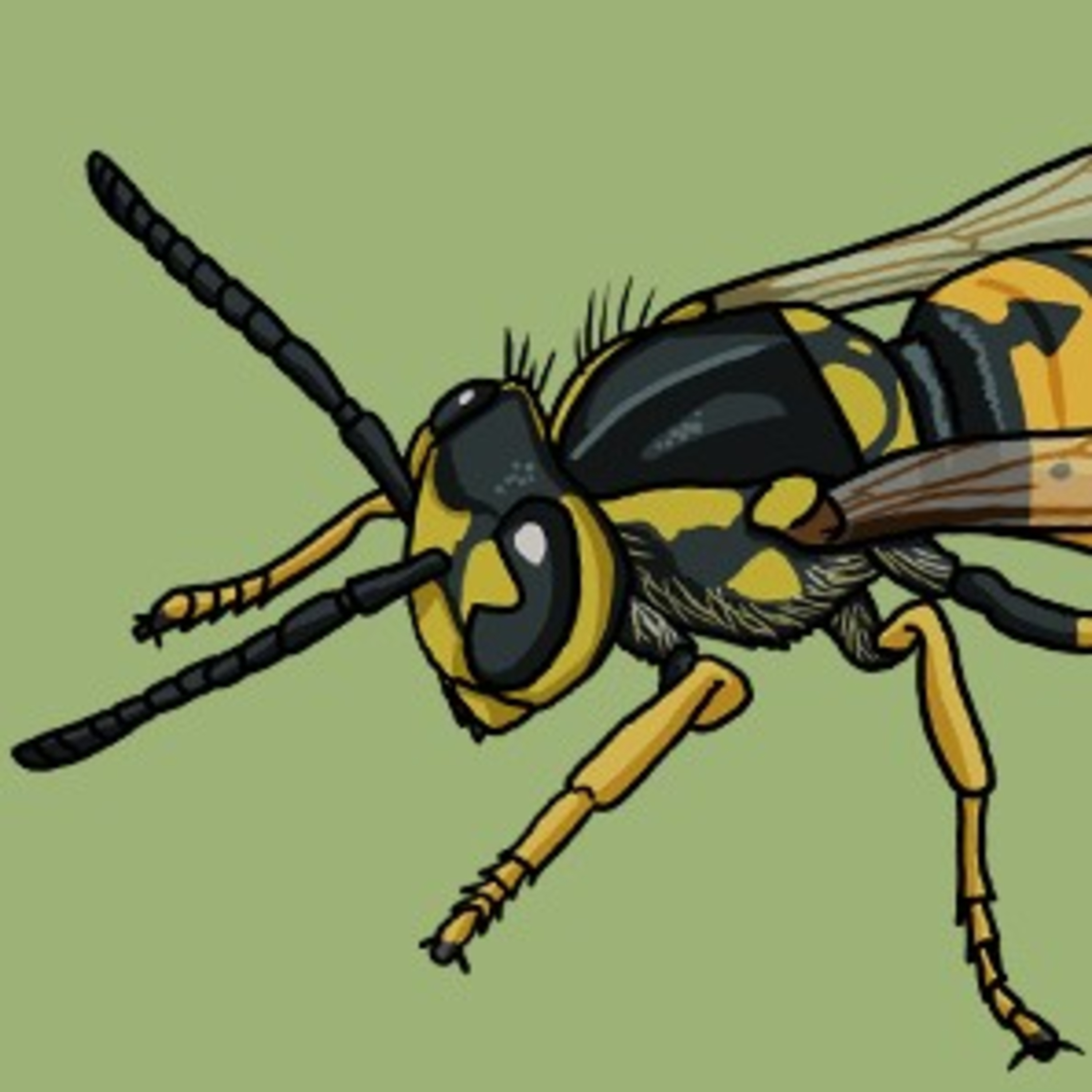 A real sting in the tail episode artwork