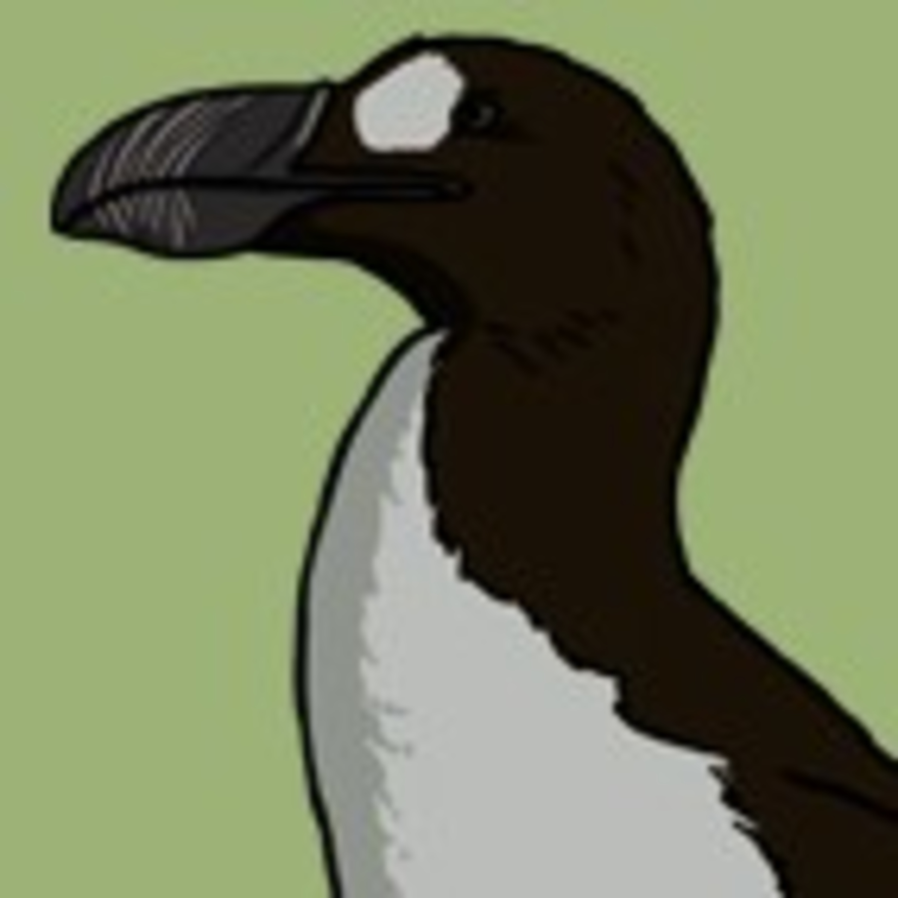 A sad tale of an aukward bird episode artwork