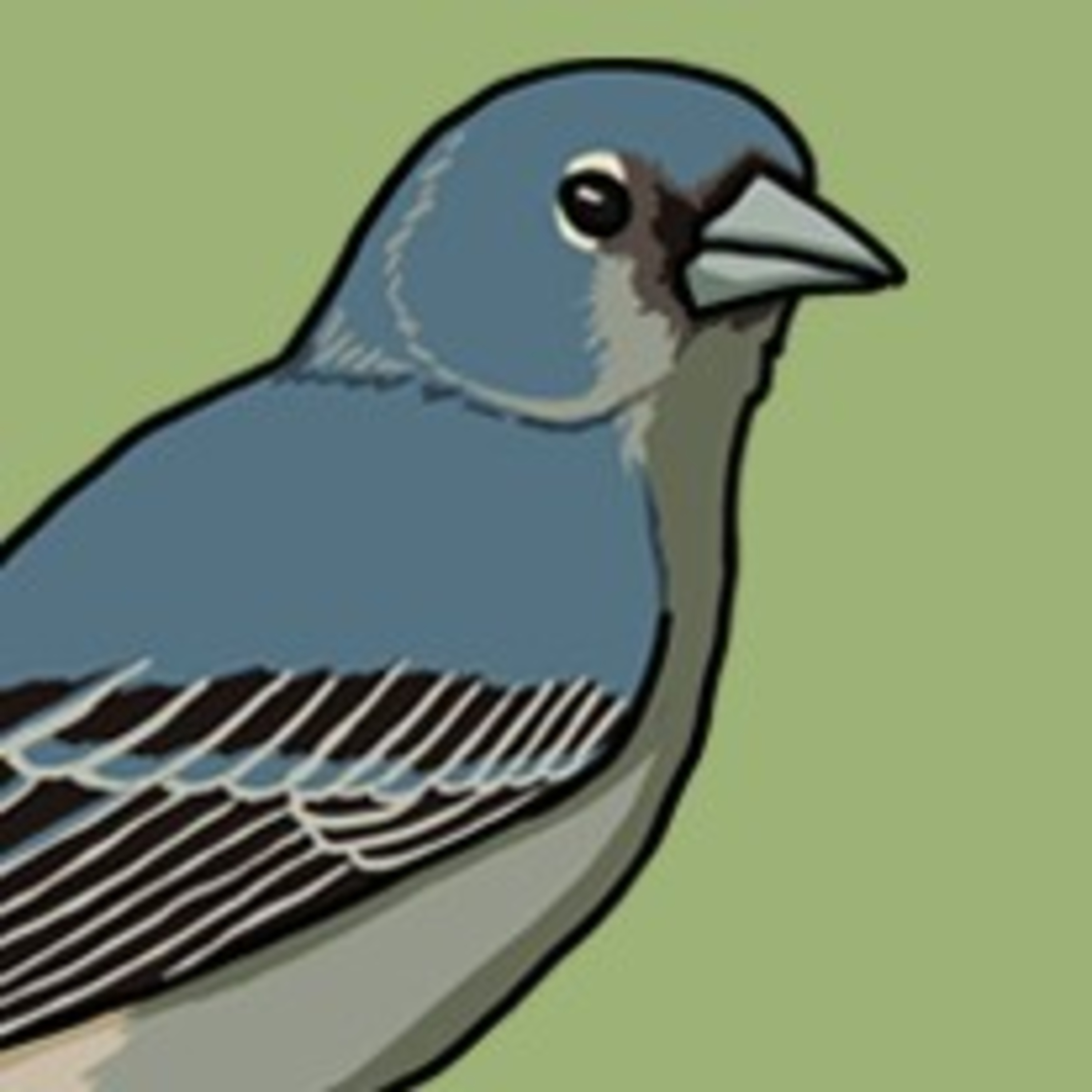 A bird that is the word episode artwork
