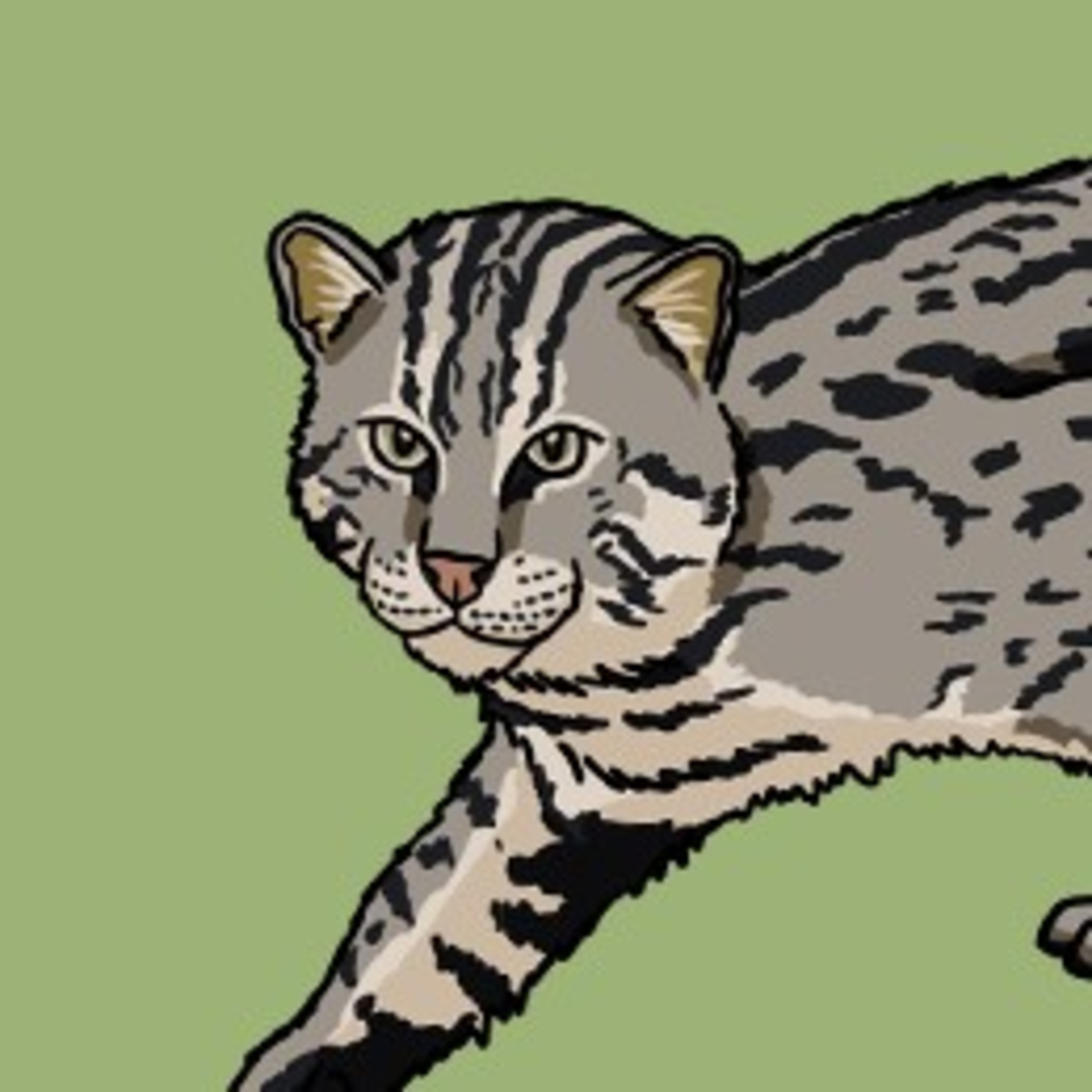 A riparian feline  episode artwork