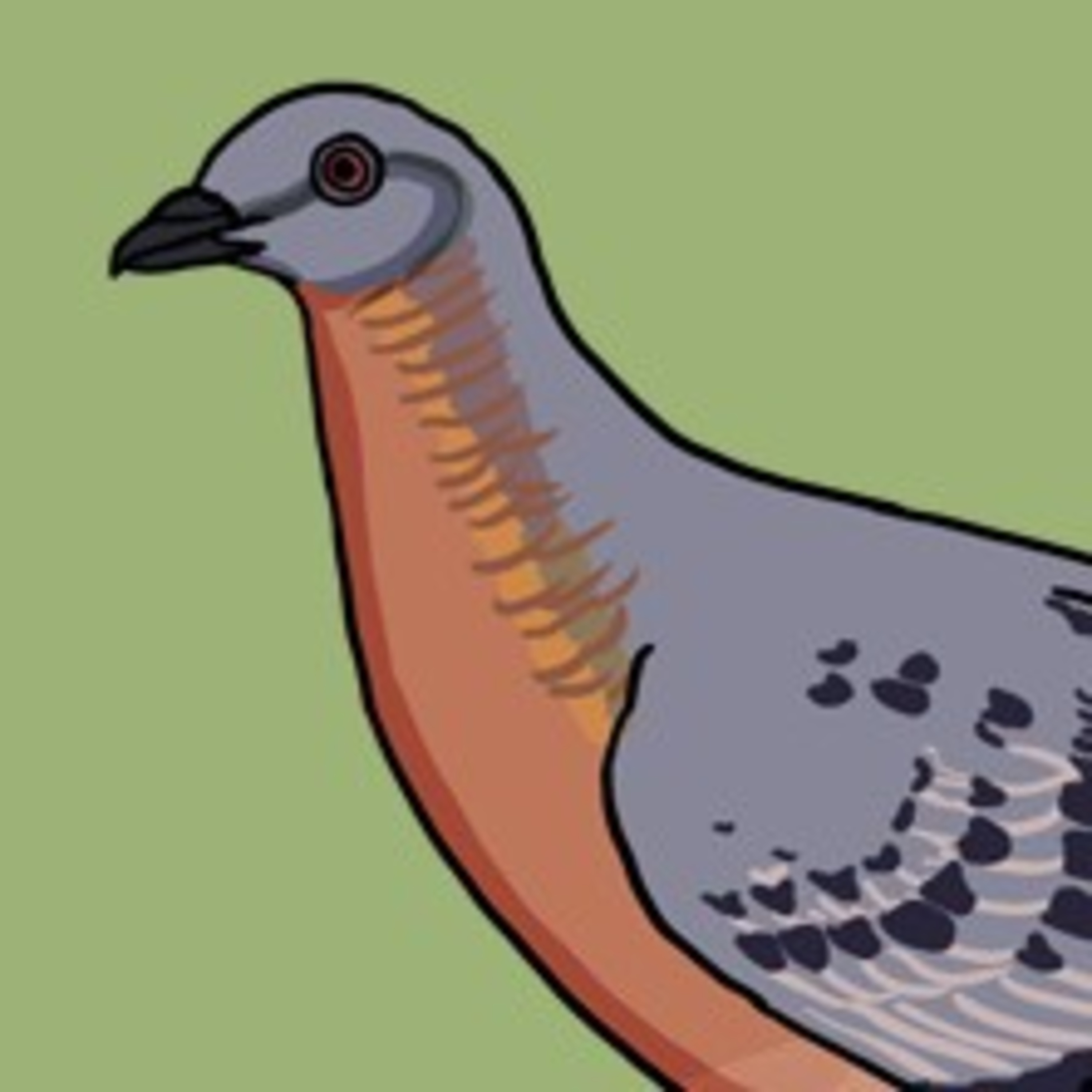 A flock that filled the sky  episode artwork