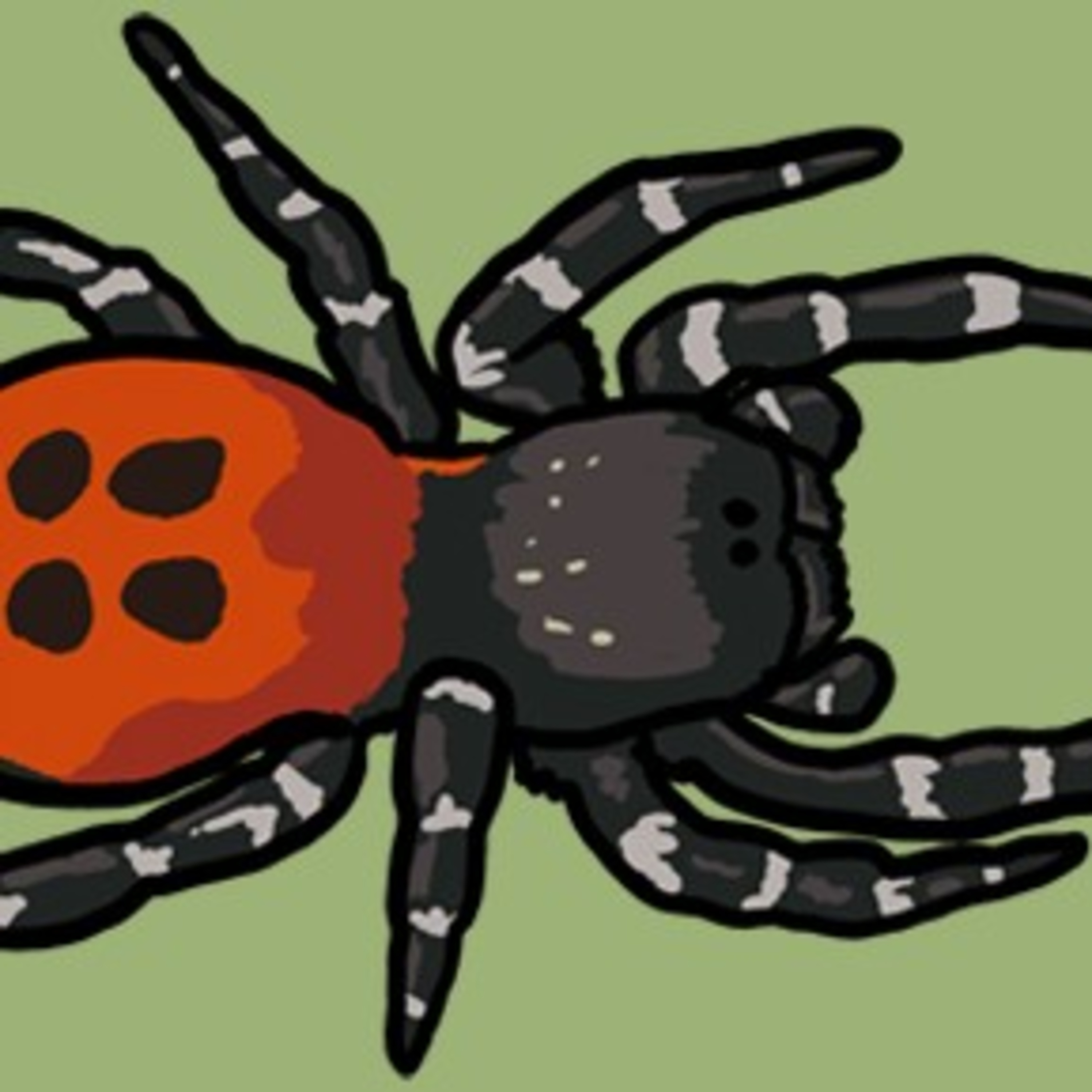 A pretty rare spider episode artwork