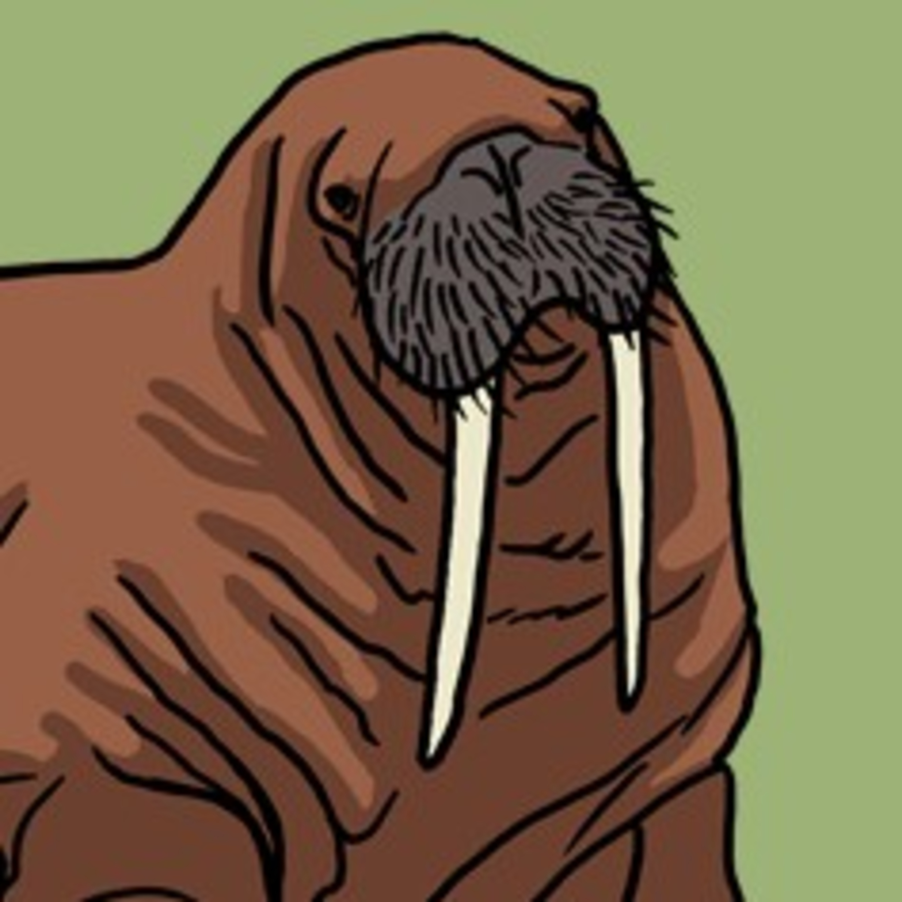 A tooth walking horse  episode artwork