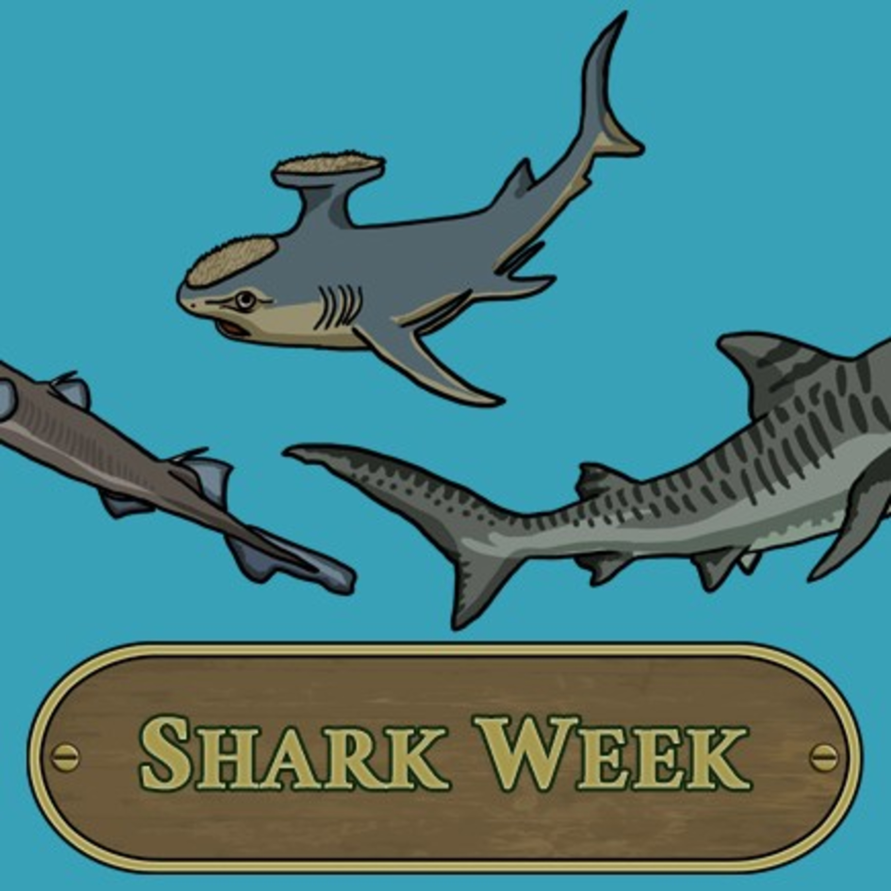 A week for sharks (shark week special) episode artwork