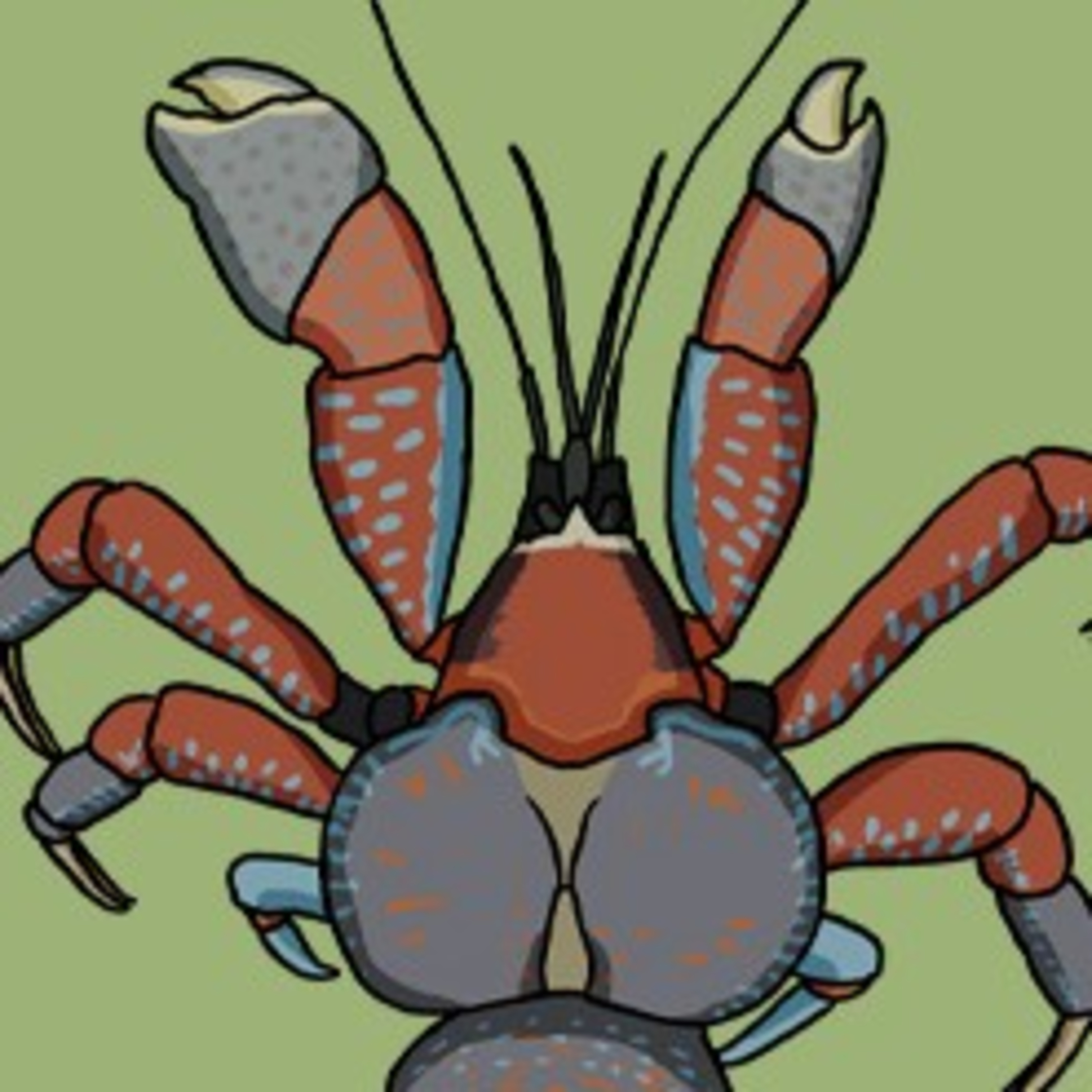 A crab that isn’t a crab  episode artwork