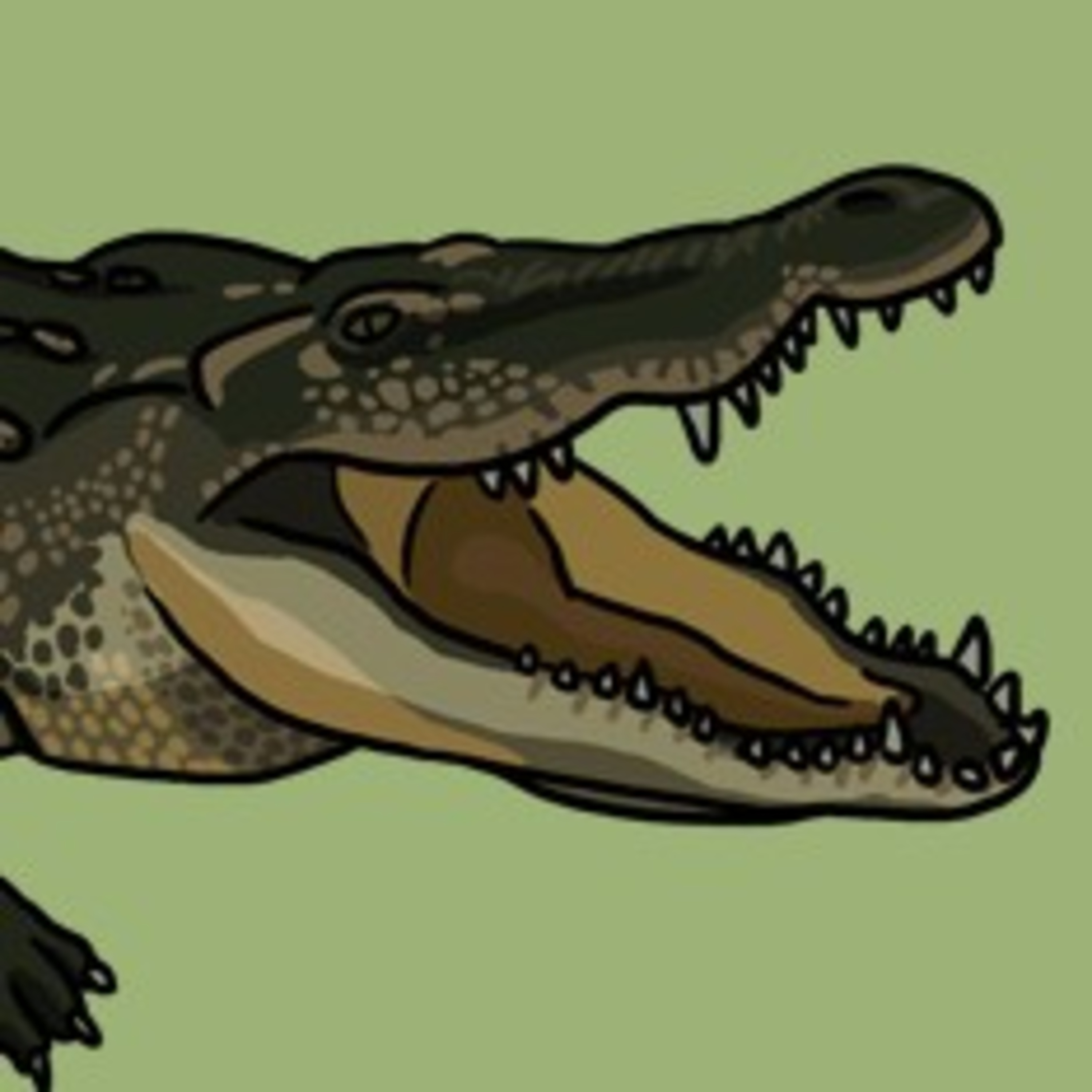 A super salty croc episode artwork