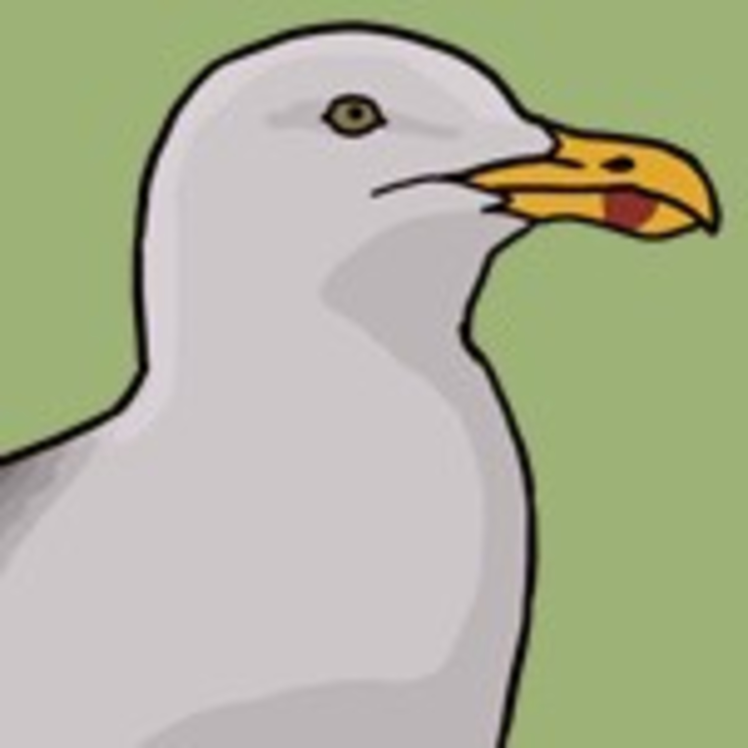 A gull of the land and sea episode artwork