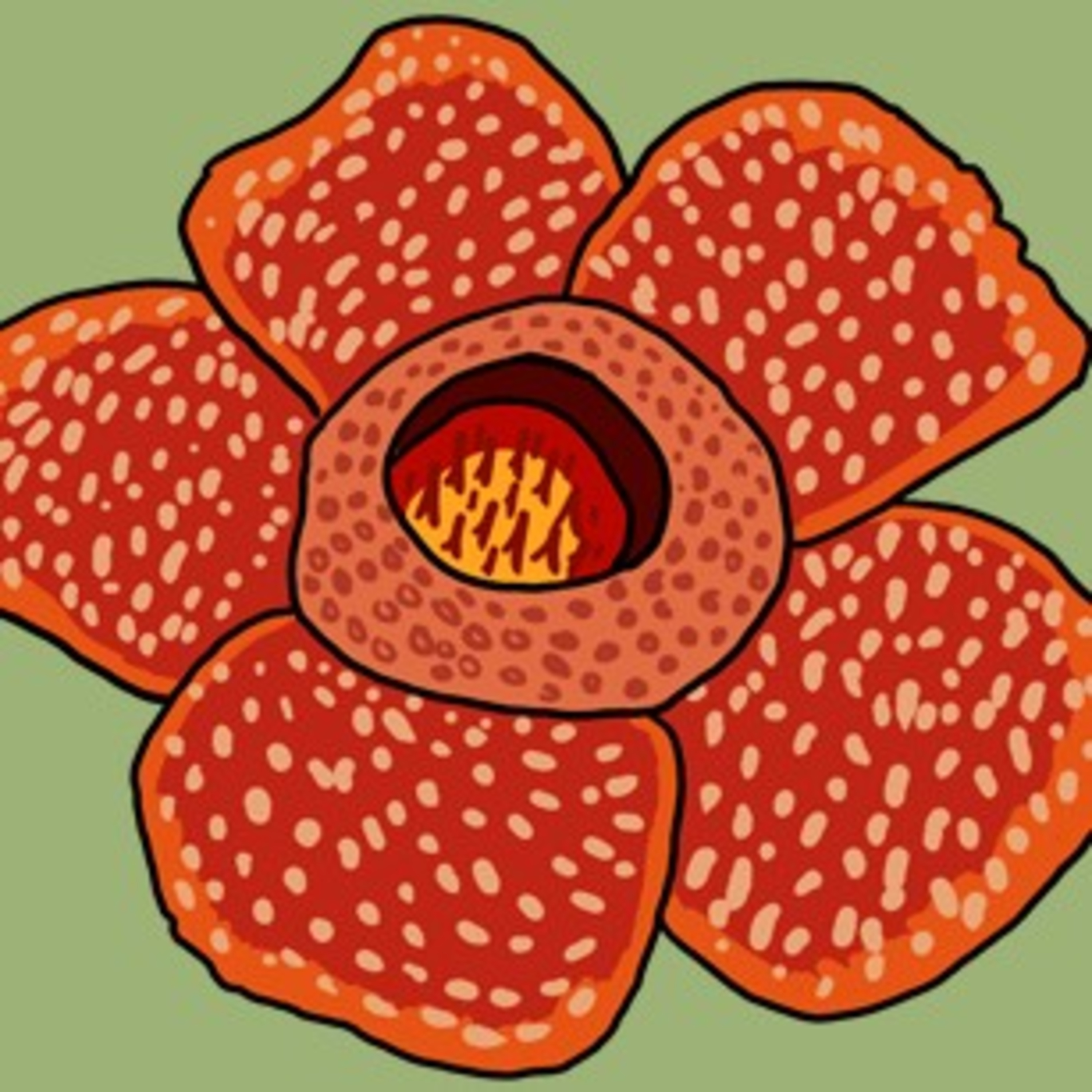 A blooming huge flower episode artwork