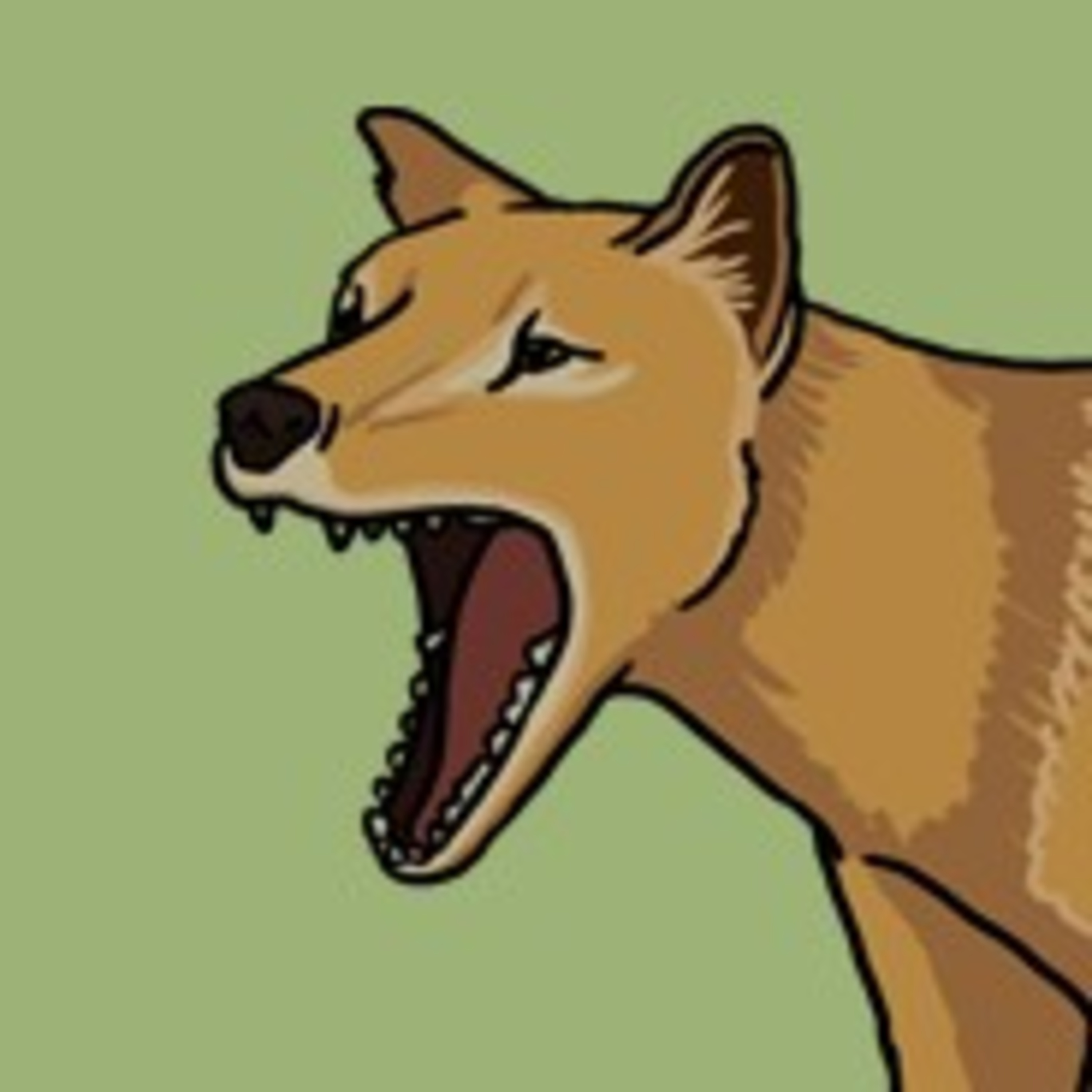 A tiger or a pademelon? episode artwork