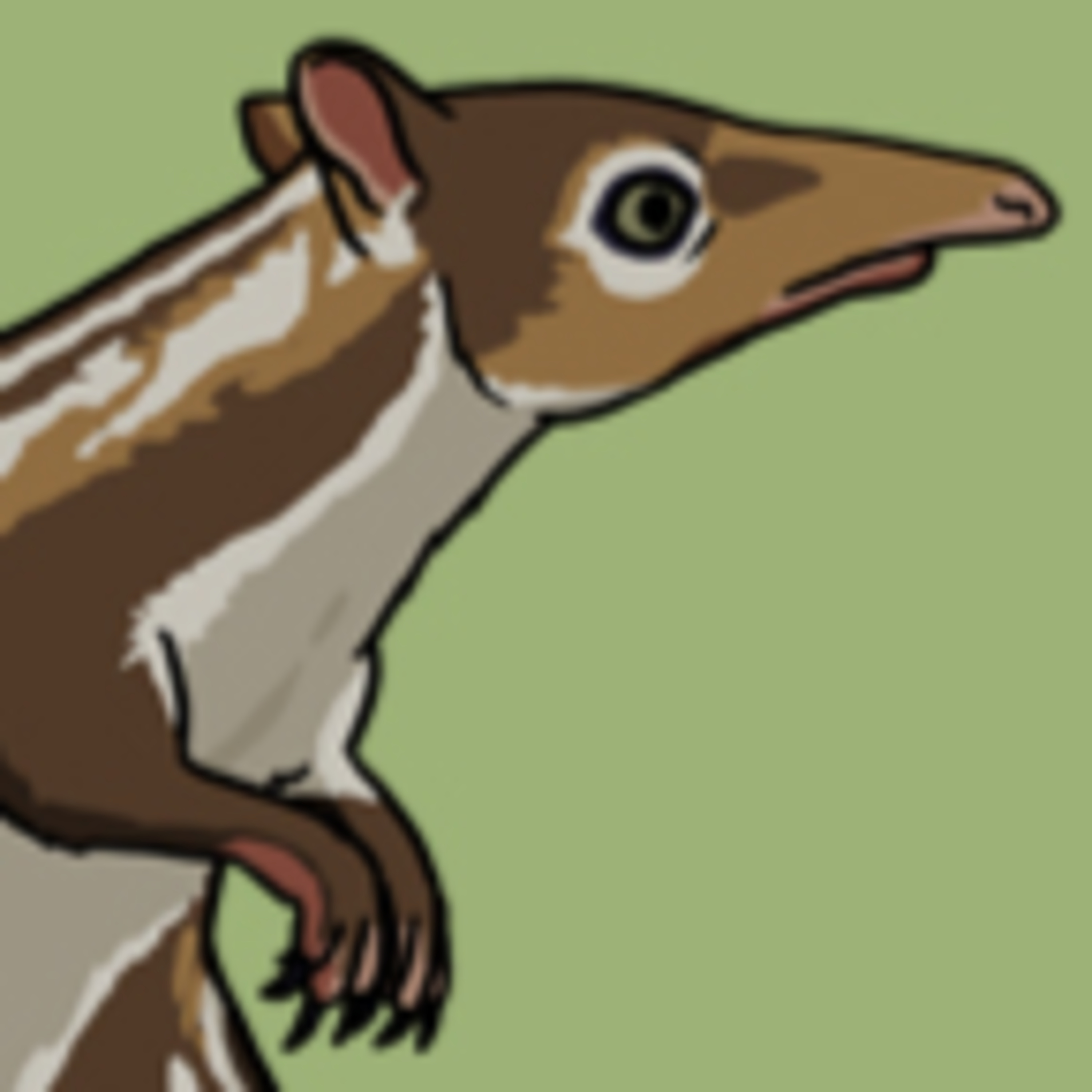 A bouncy shrew episode artwork