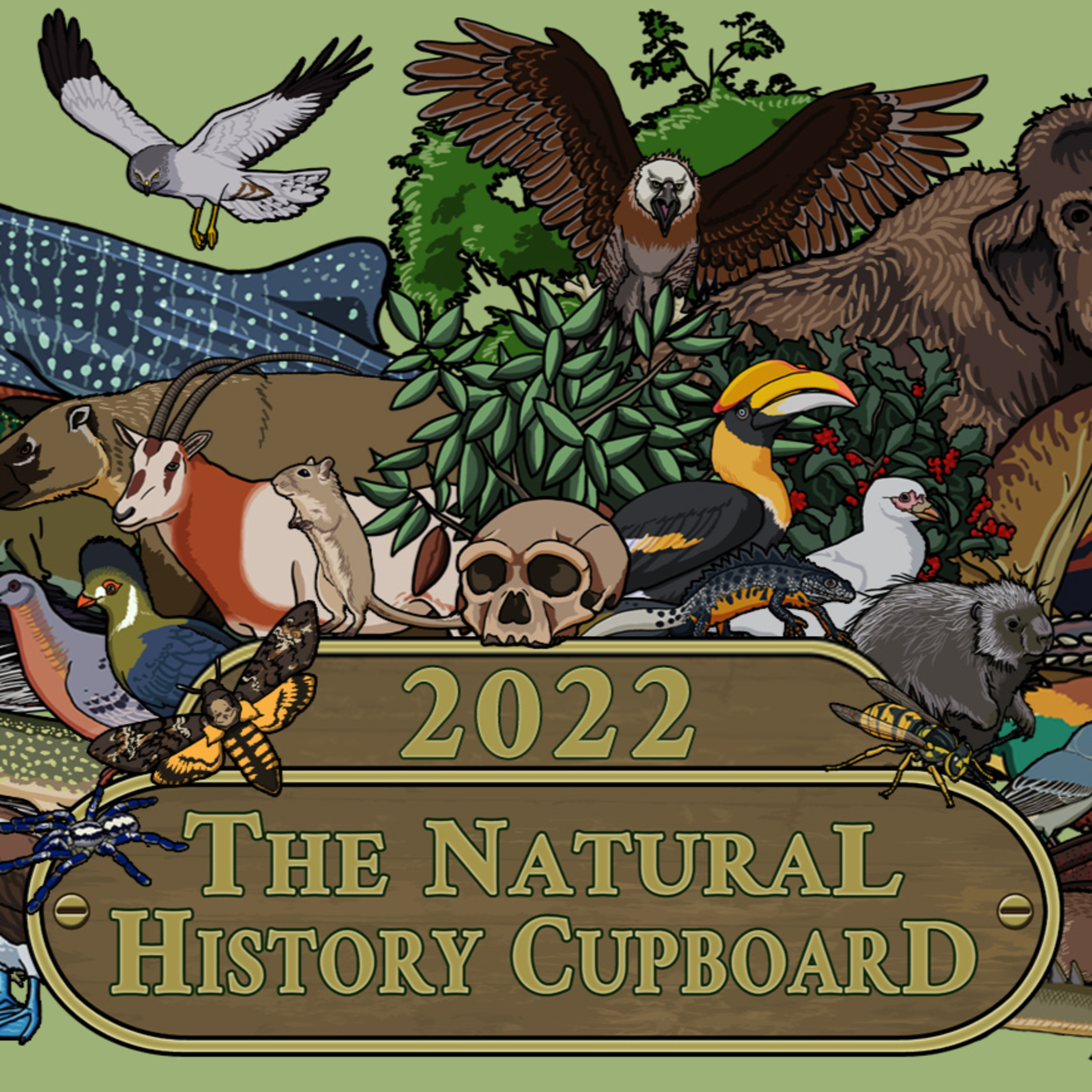 A quiz to end the year on (2022) episode artwork