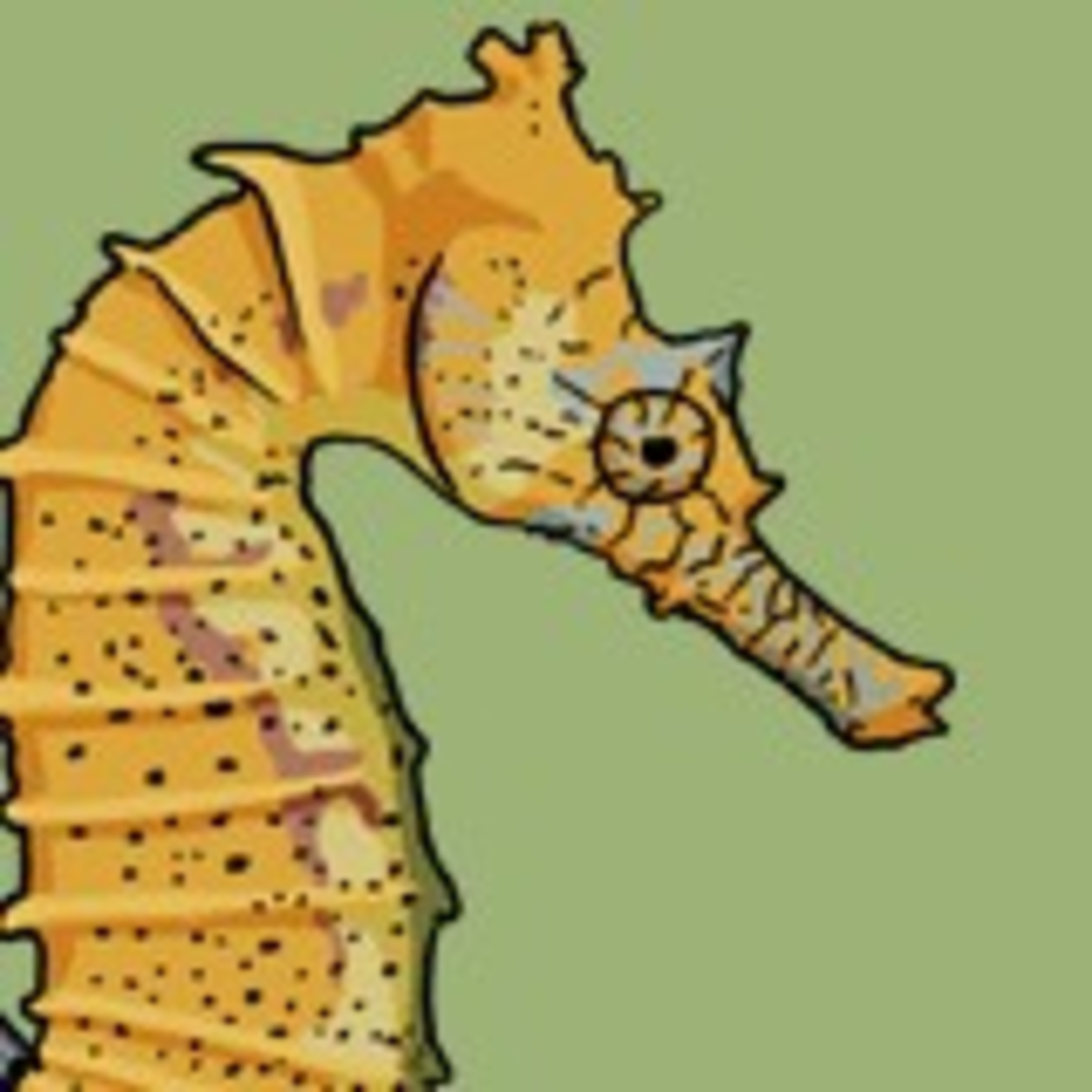 A coastal curiosity episode artwork