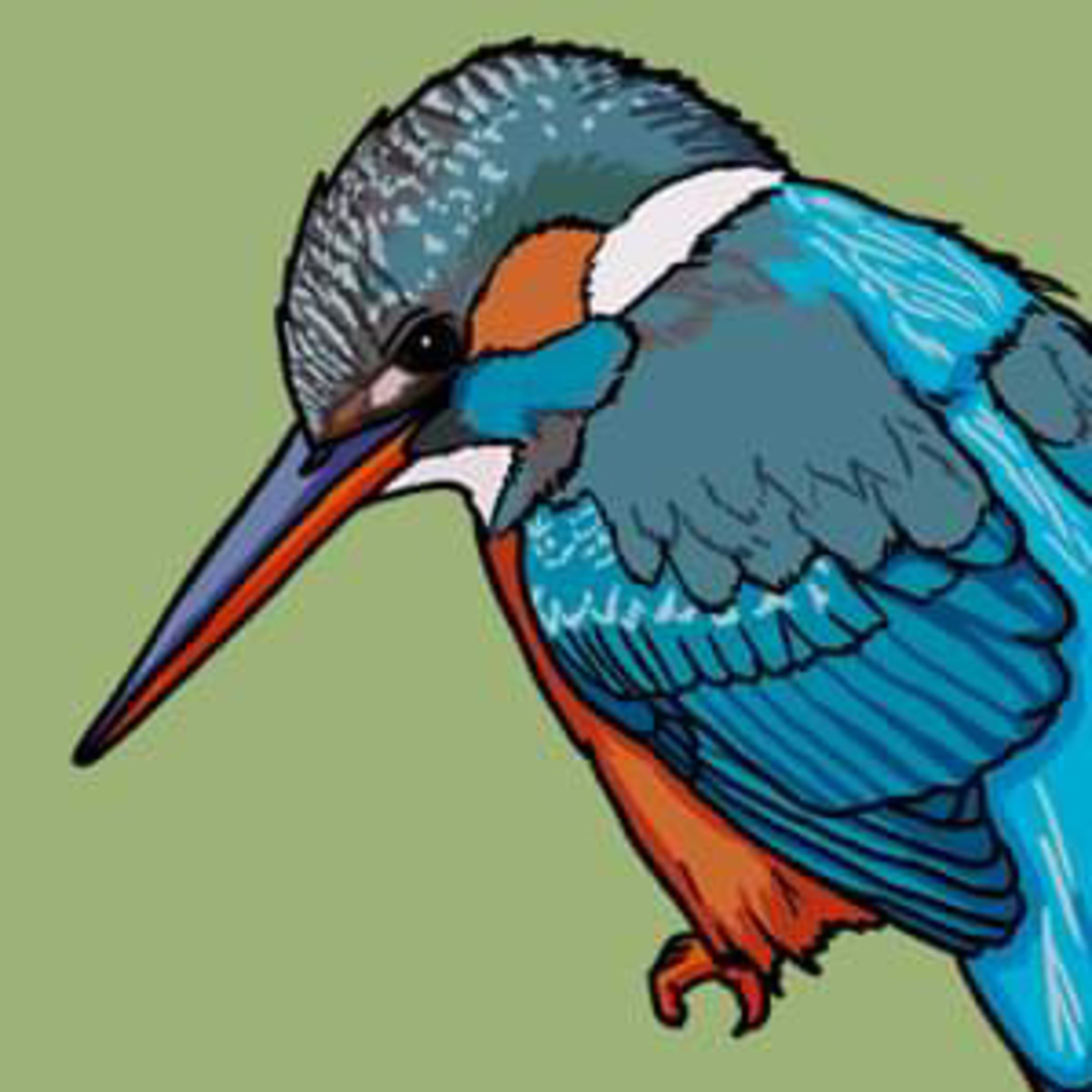 The Natural History Cupboard Podcast