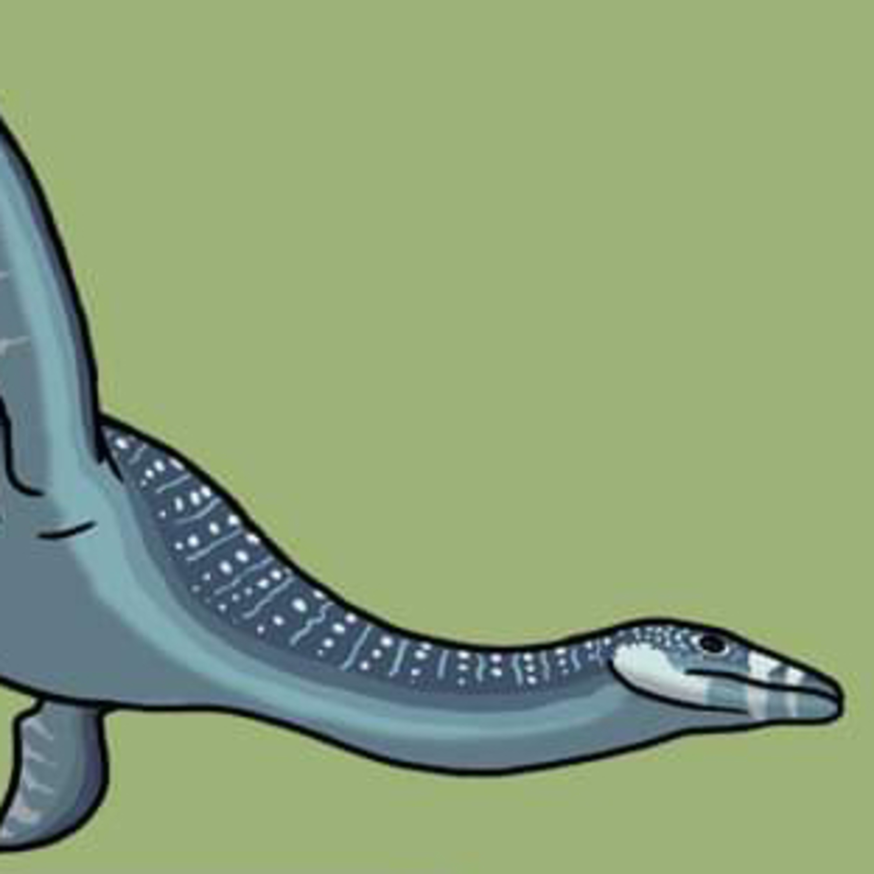 A perfectly preserved plesiosaur  episode artwork
