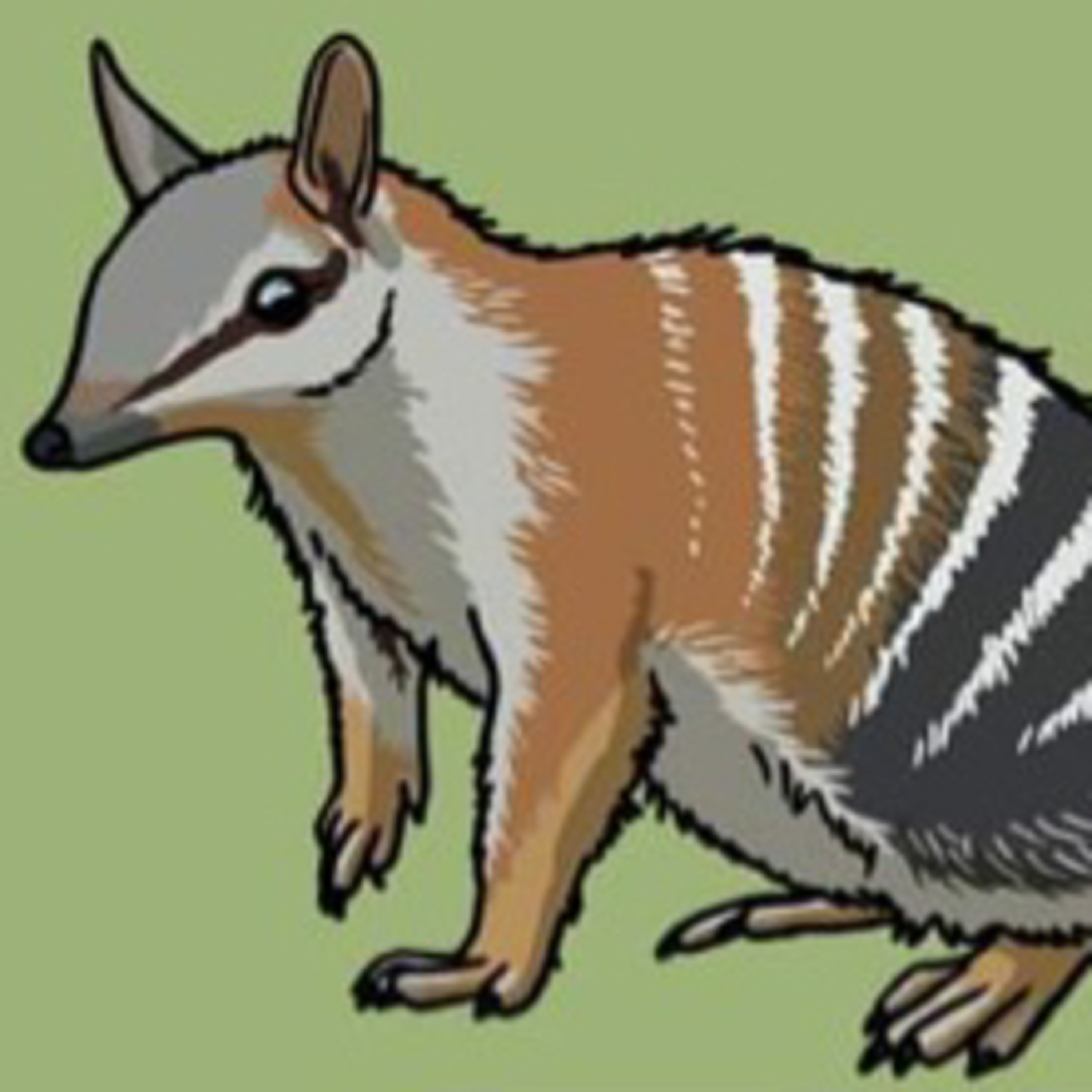 A striped anteater  episode artwork