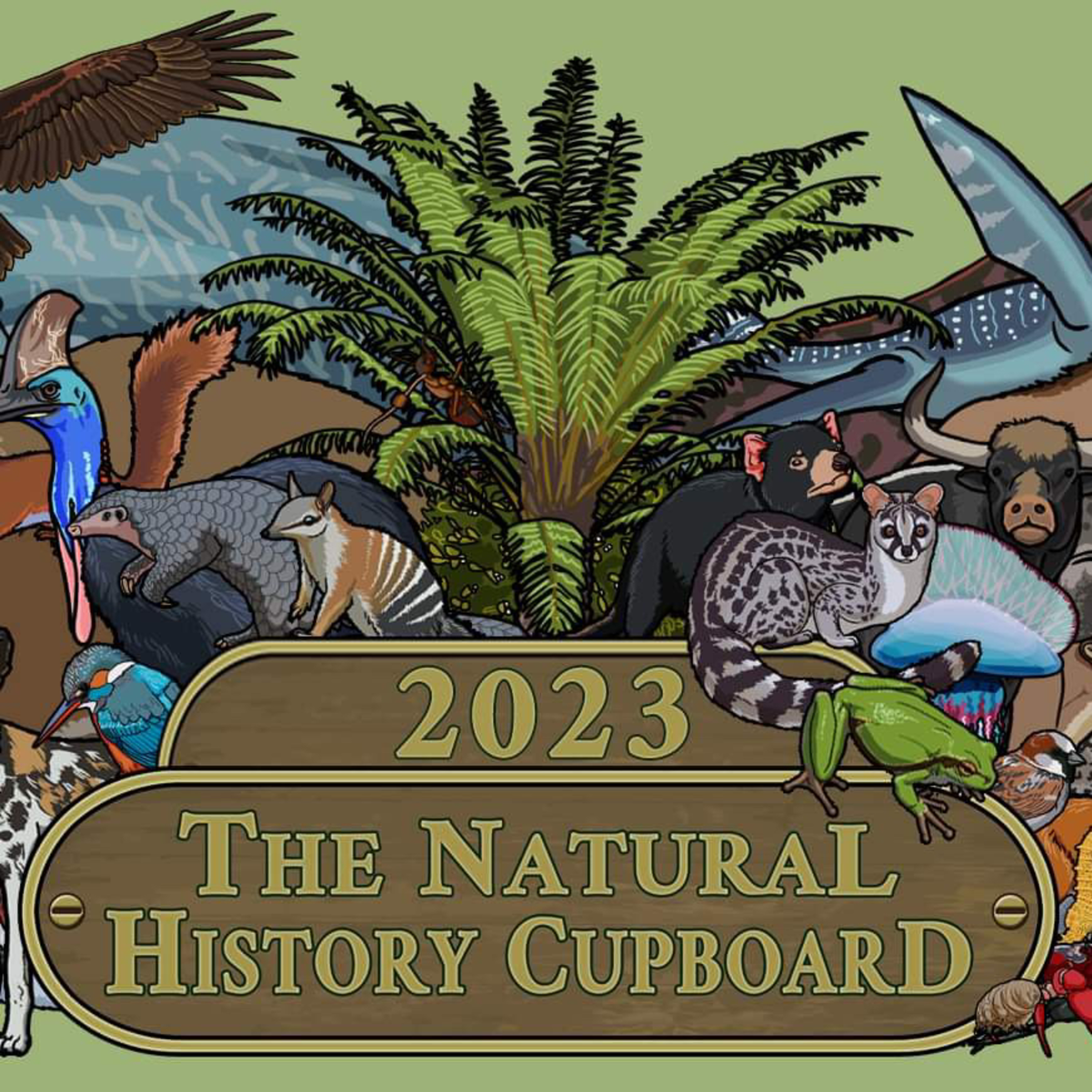 New year’s special ( A Fossil foray) episode artwork