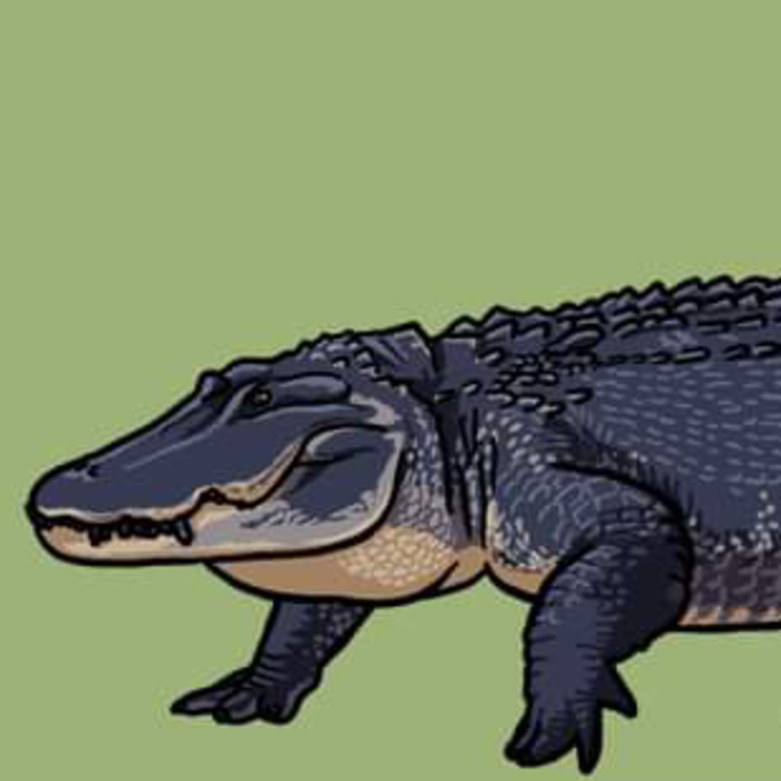 A superhero of the swamp episode artwork