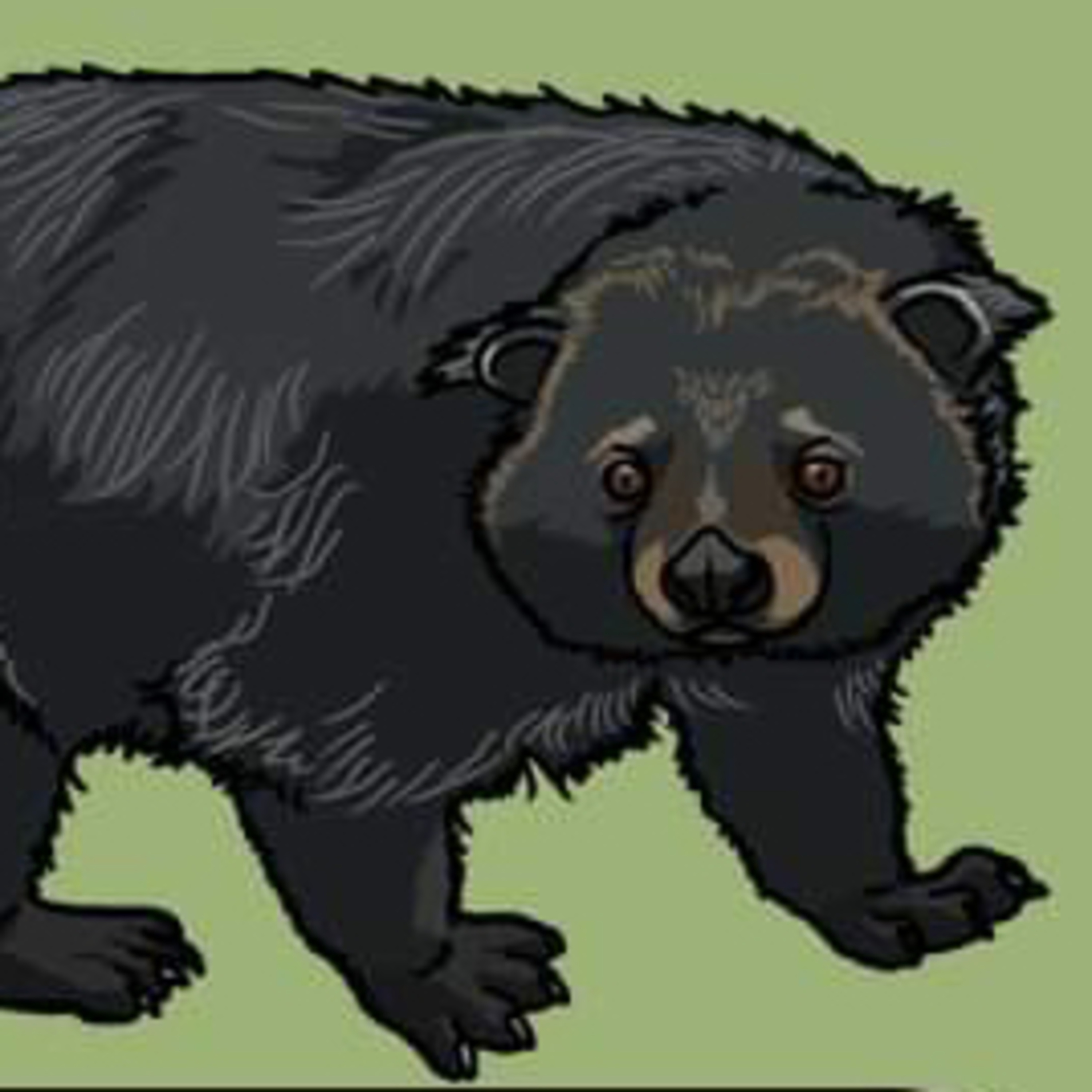 A smelly bear cat  episode artwork