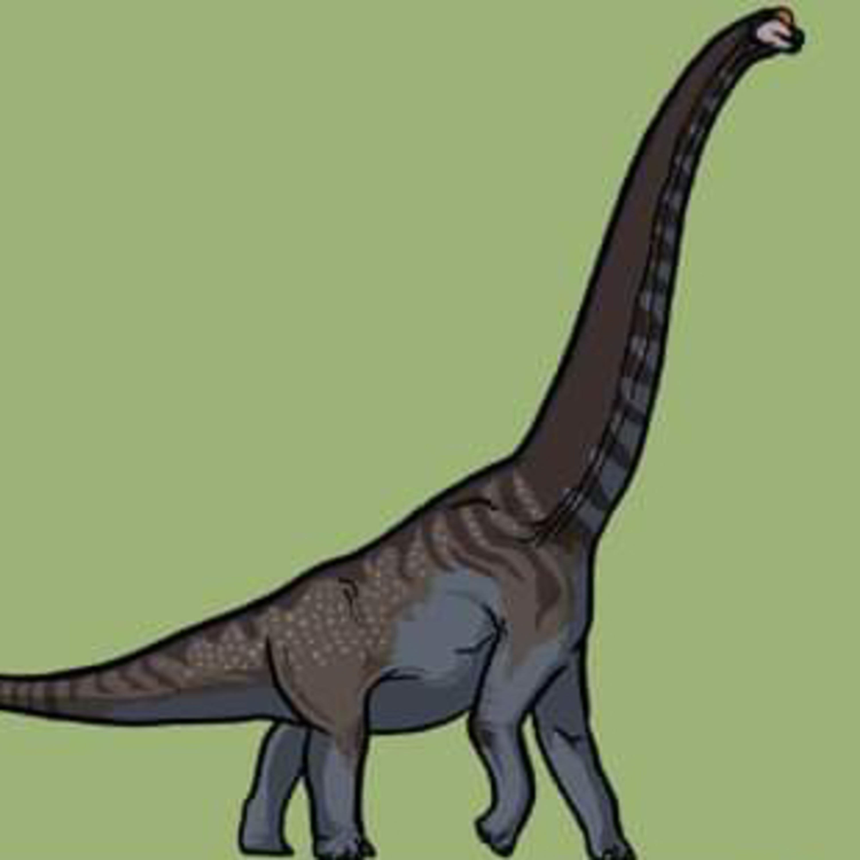 A sky high sauropod  episode artwork