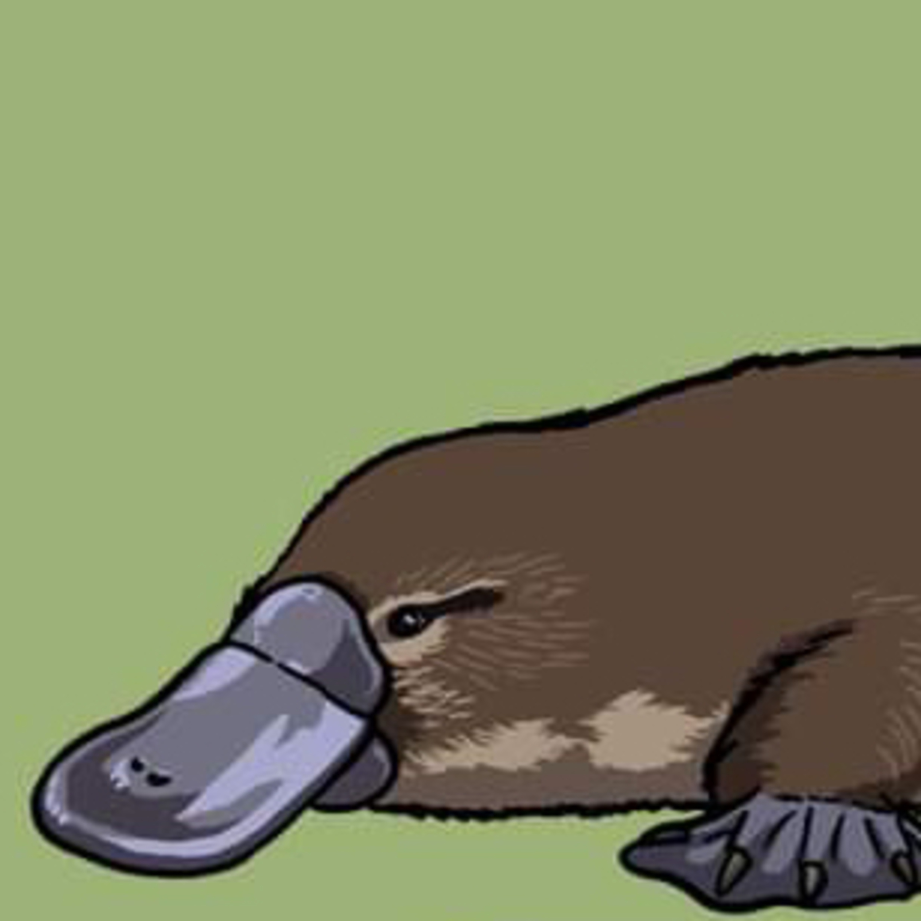 A delightful duck bill episode artwork