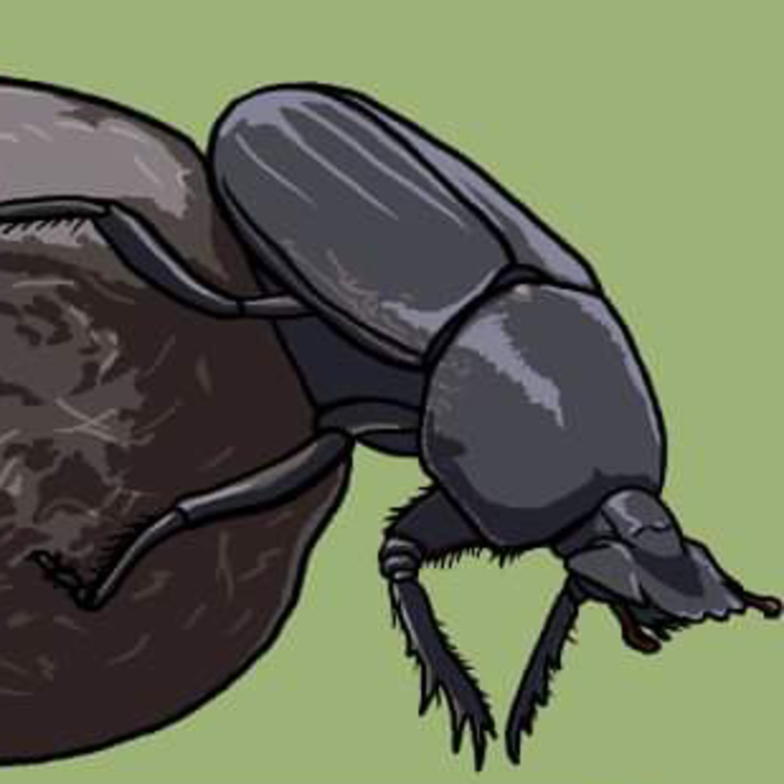 A sacred scarab episode artwork