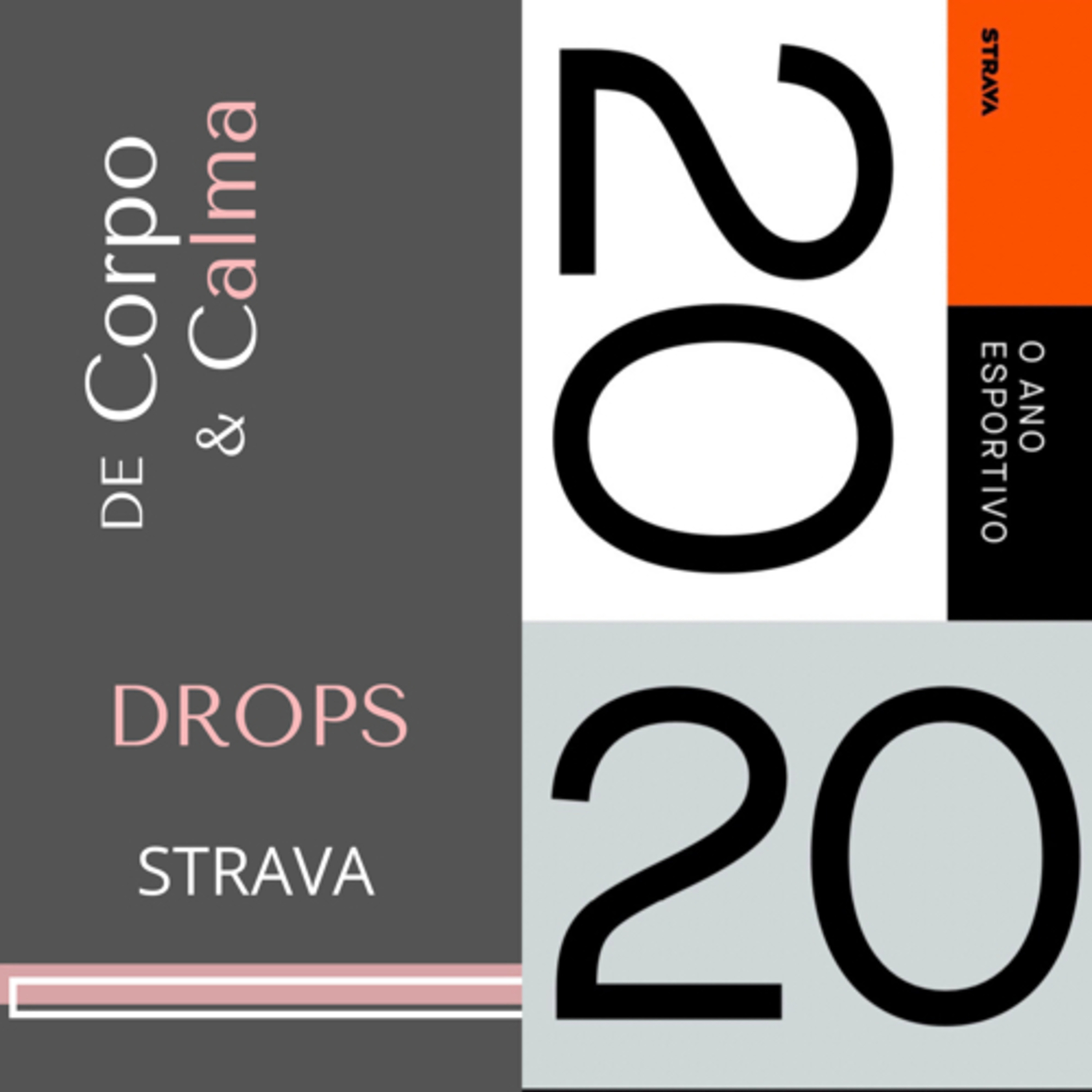 O ano esportivo STRAVA