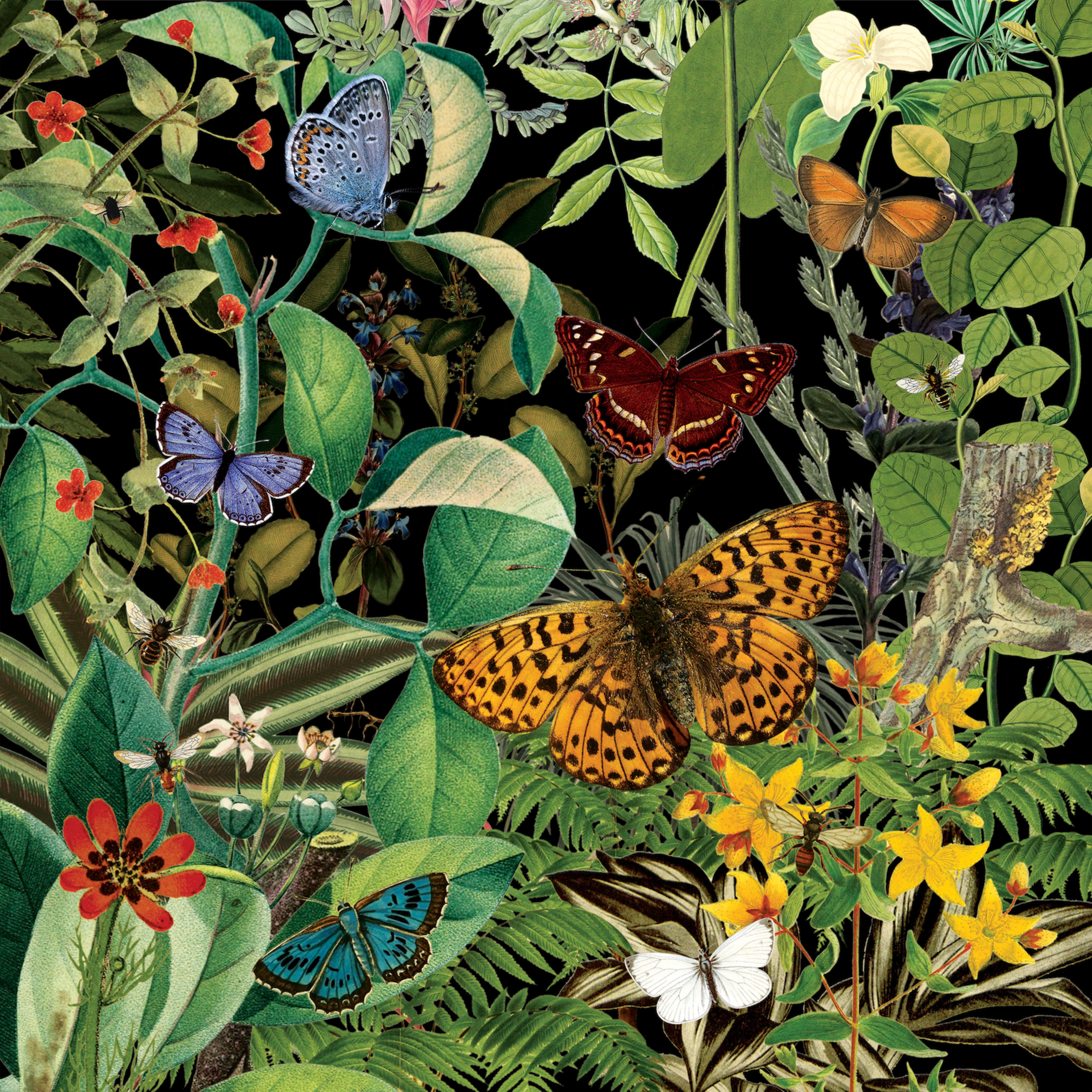 Tolhuistuin Podcasts