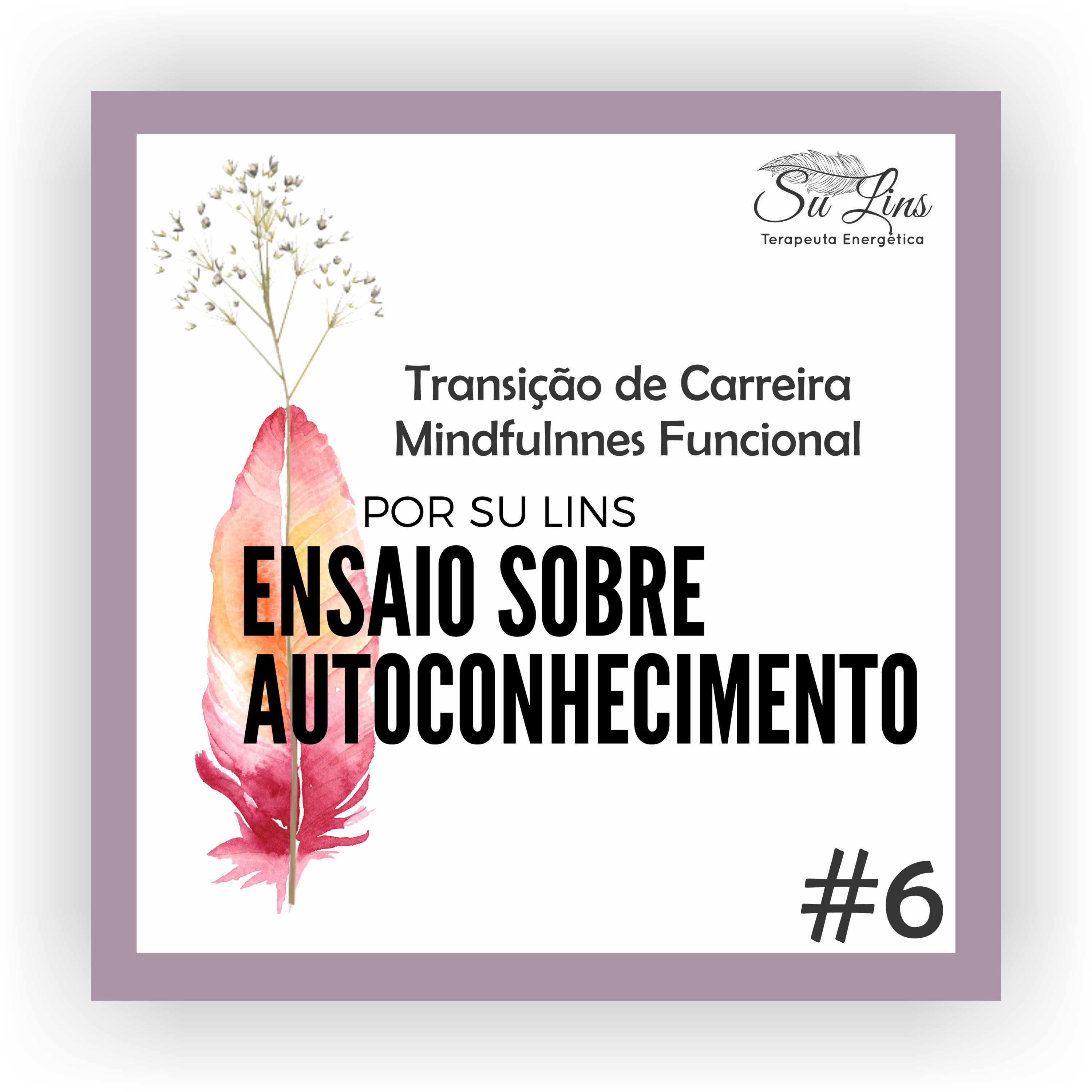 Transição de Carreira - Mindfulness Funcional - Os novos caminhos da vida episode artwork